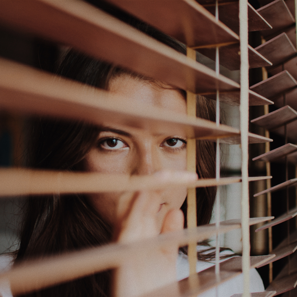 Rollos, Jalousien und Sichtschutzfolien im Vergleich