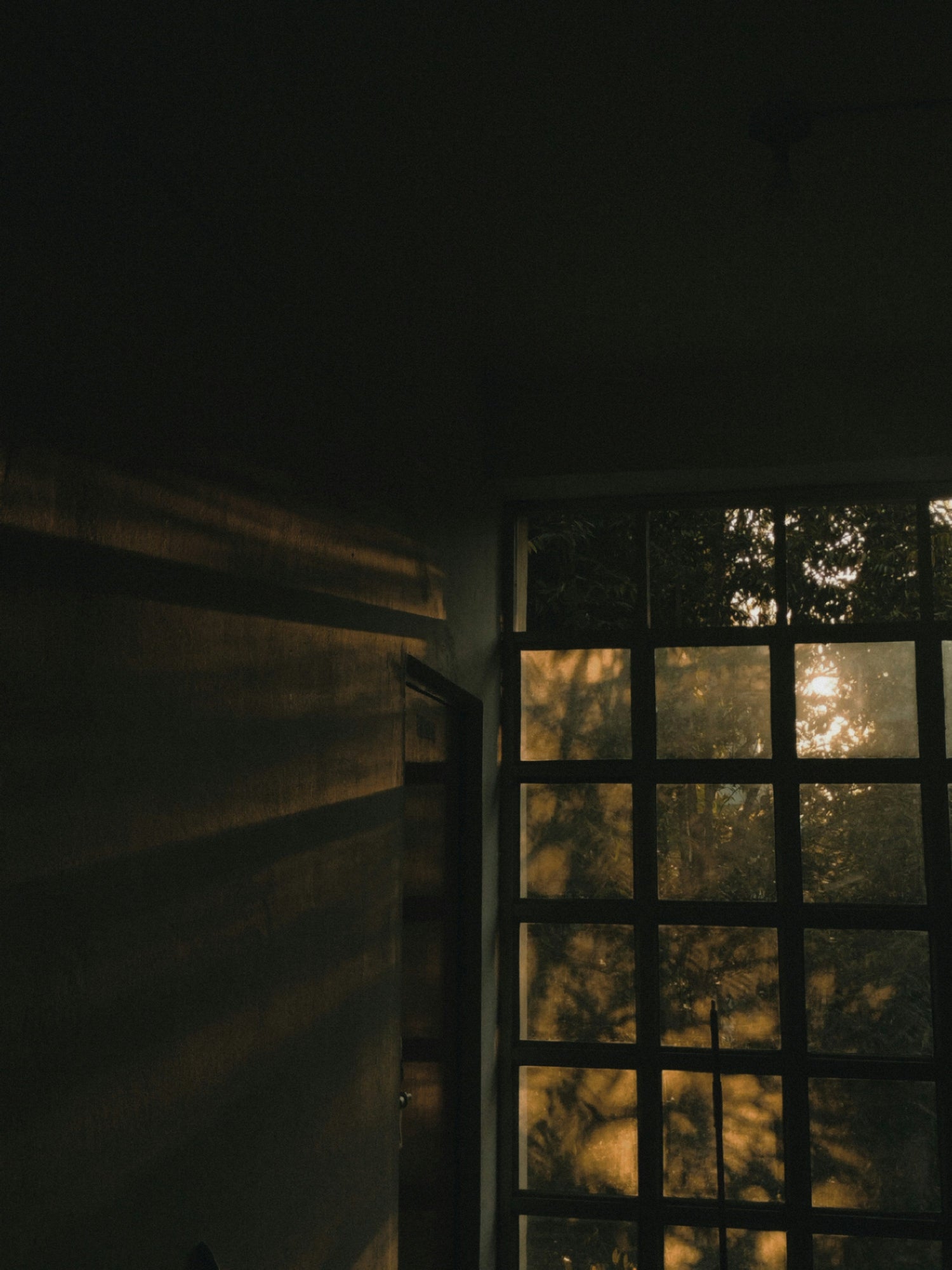 Fensterfolien im Test: Natürlicher Stil ohne großen Aufwand