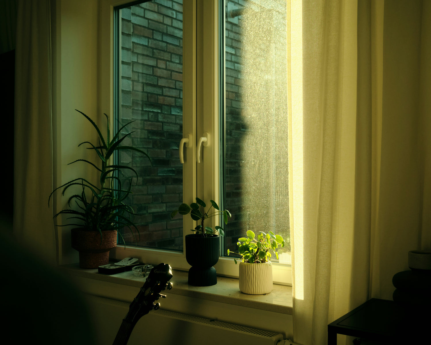 Welche Pastellfarben eignen sich am besten für Gardinen? Wir geben Ihnen Antworten