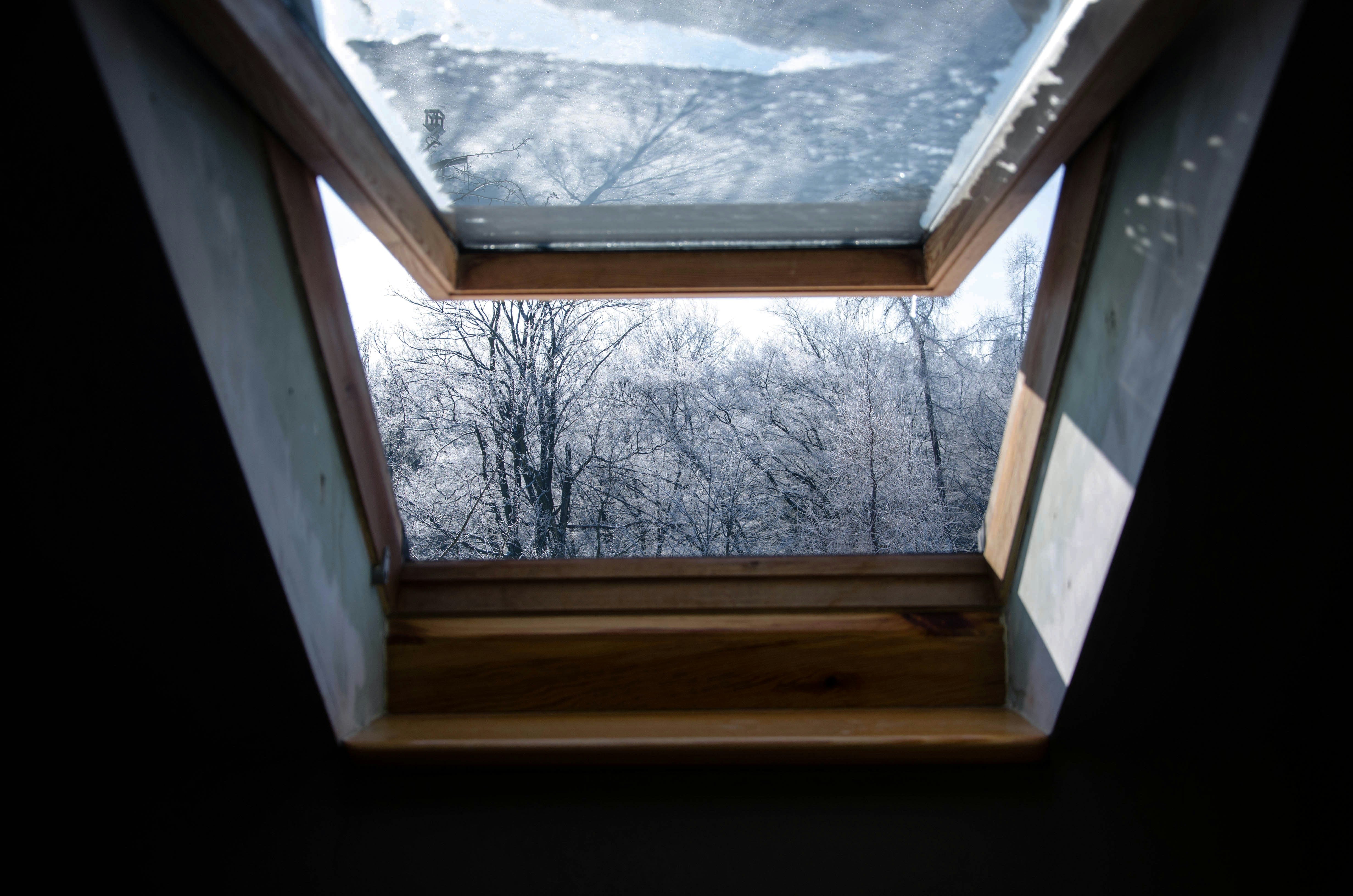 Fensterfolien im Fokus: Welche Varianten passen zu Ihrem Stil?