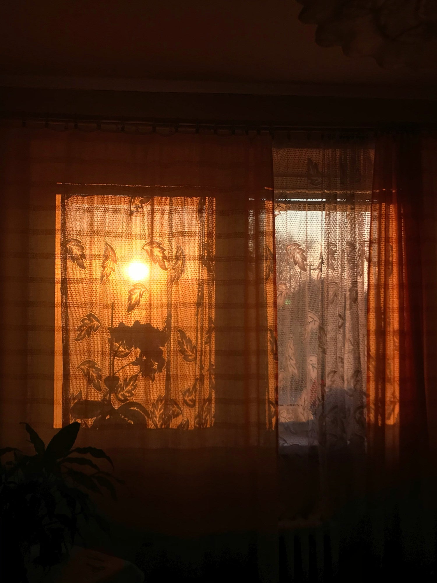 Mehr Ordnung durch Gardinen: Wie textile Trennwände Ihr Wohngefühl verbessern