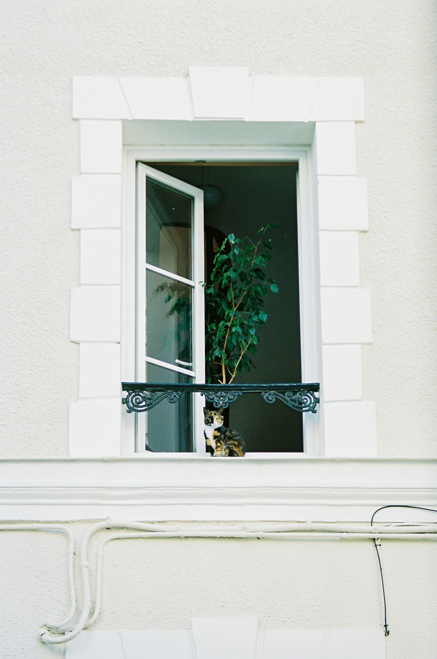 Fensterfolie: Die Geheimwaffe für stilvolle Fenstergestaltung