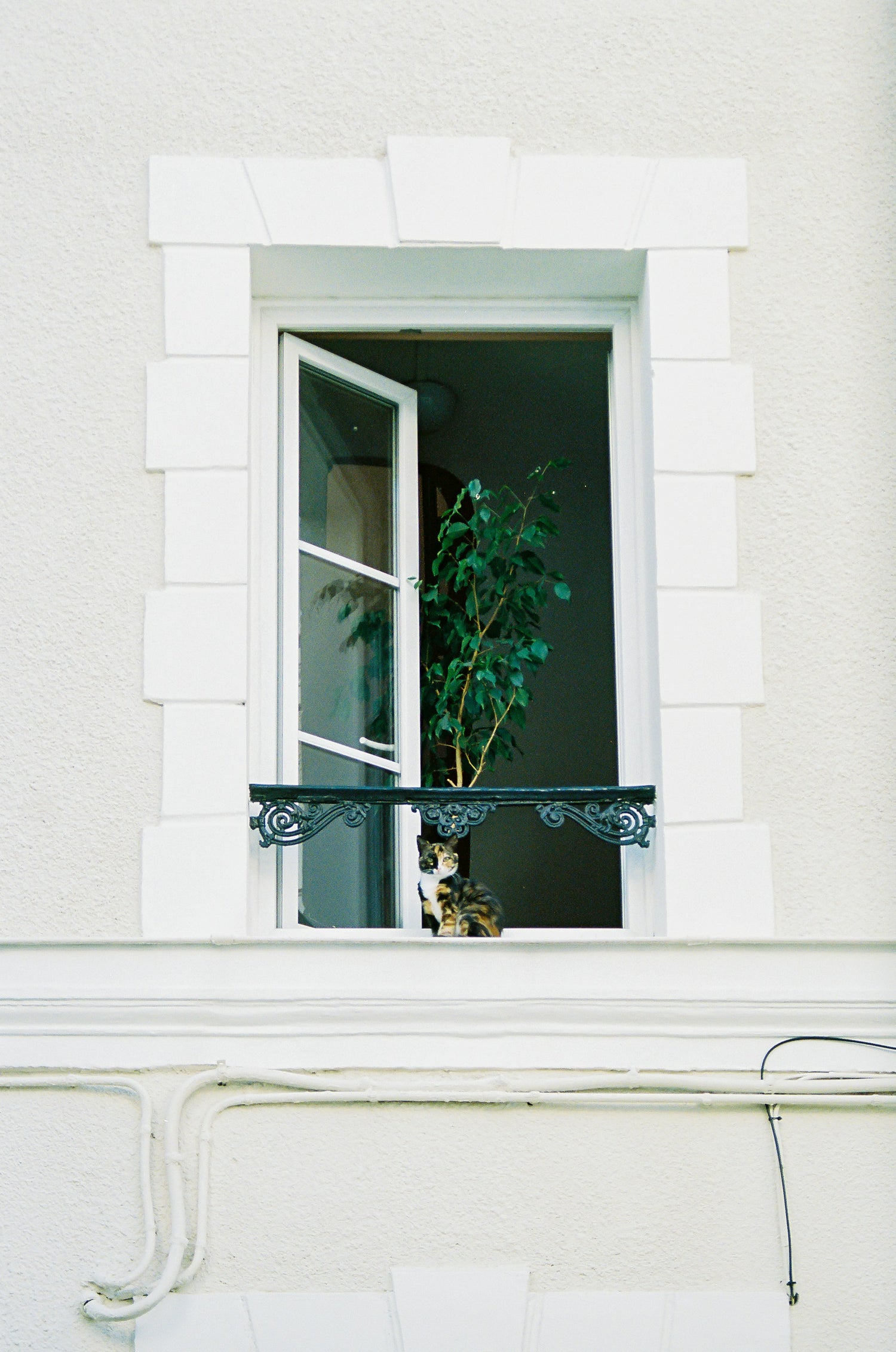 Welche Fensterfolie passt zu Ihrem Zuhause?