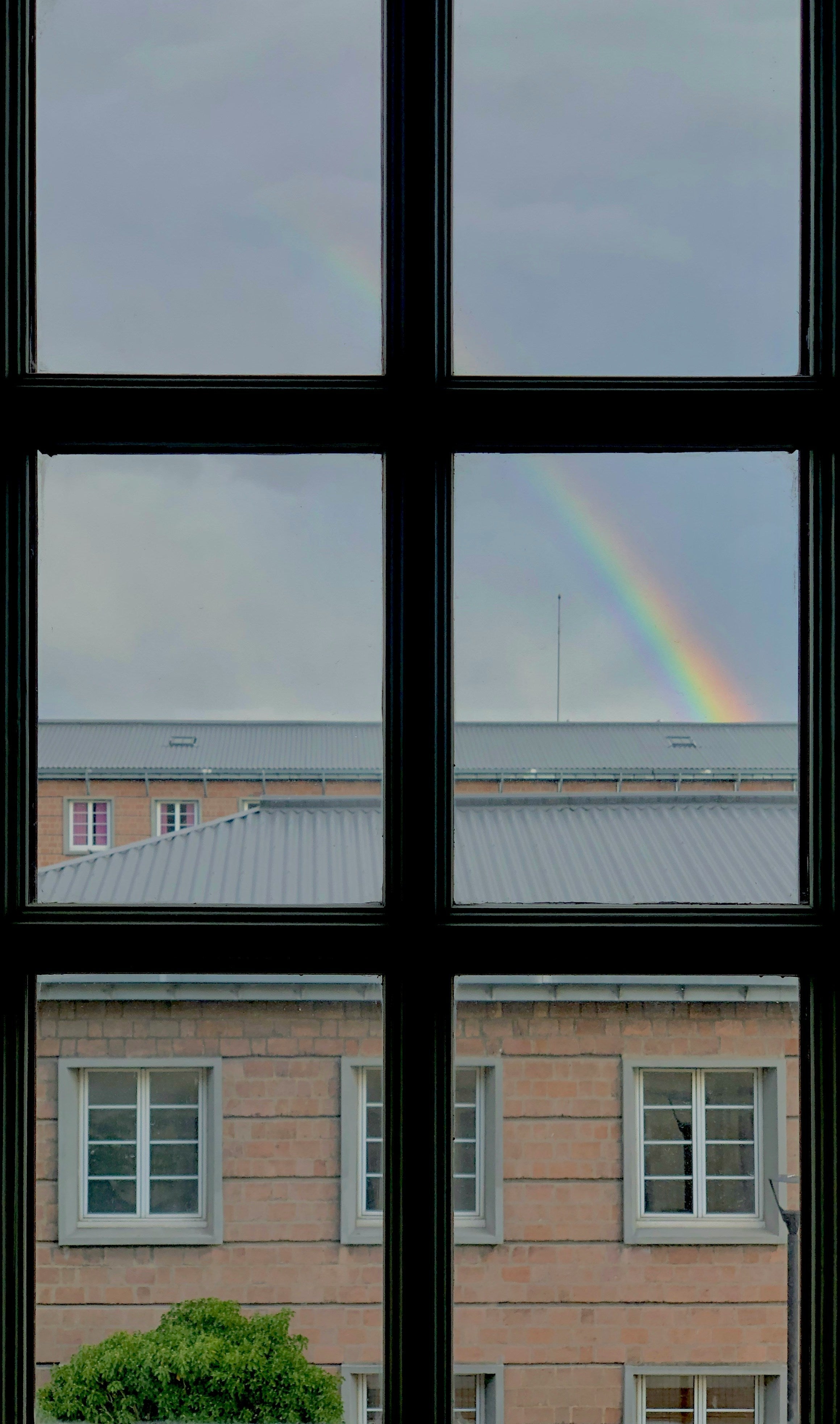 Fensterfolien neu gedacht: Mehr als nur Sichtschutz für Ihre Räume