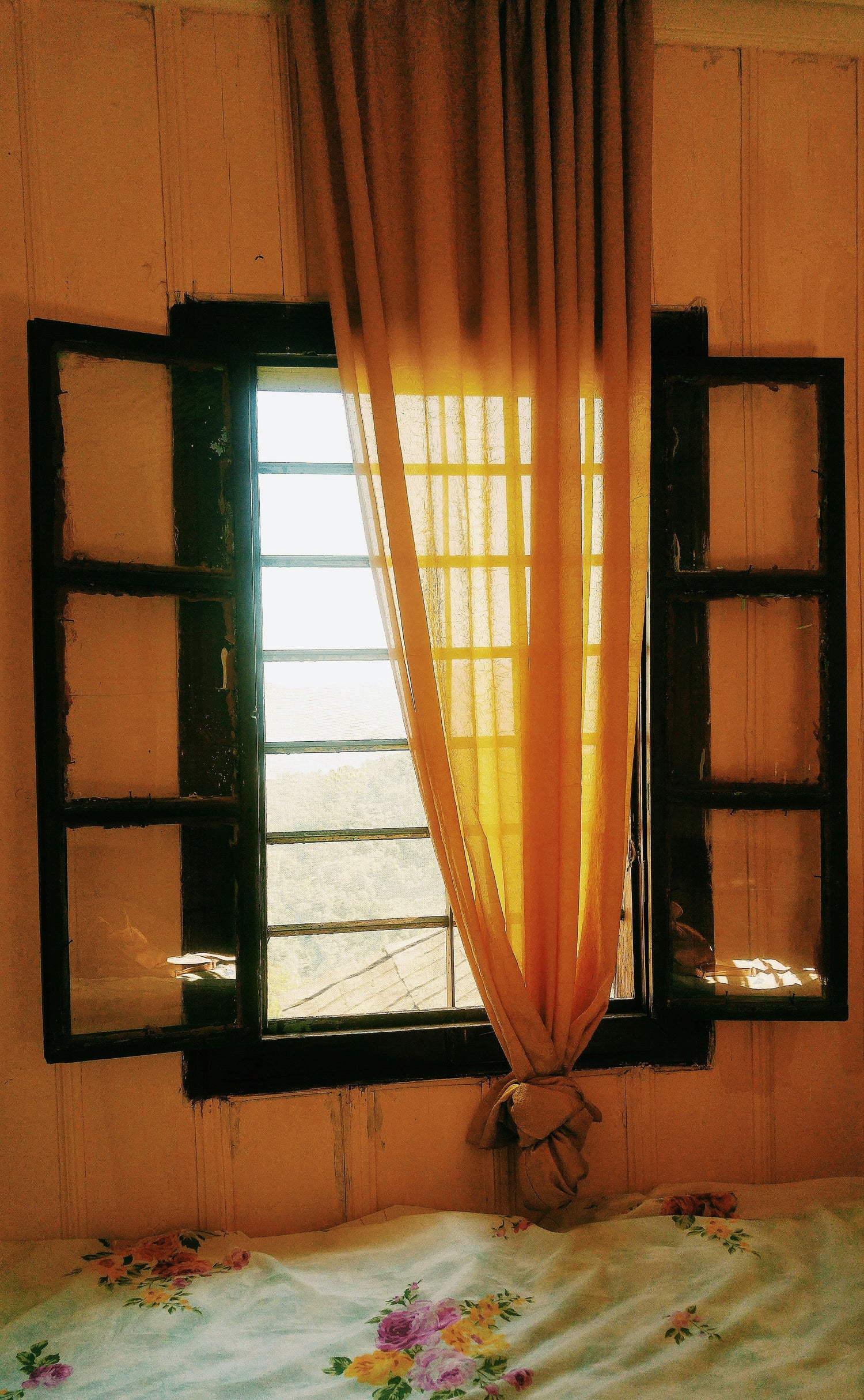 Fenstergestaltung neu gedacht: Die Wirkung von Mustern und Farbtönen auf Ihr Zuhause