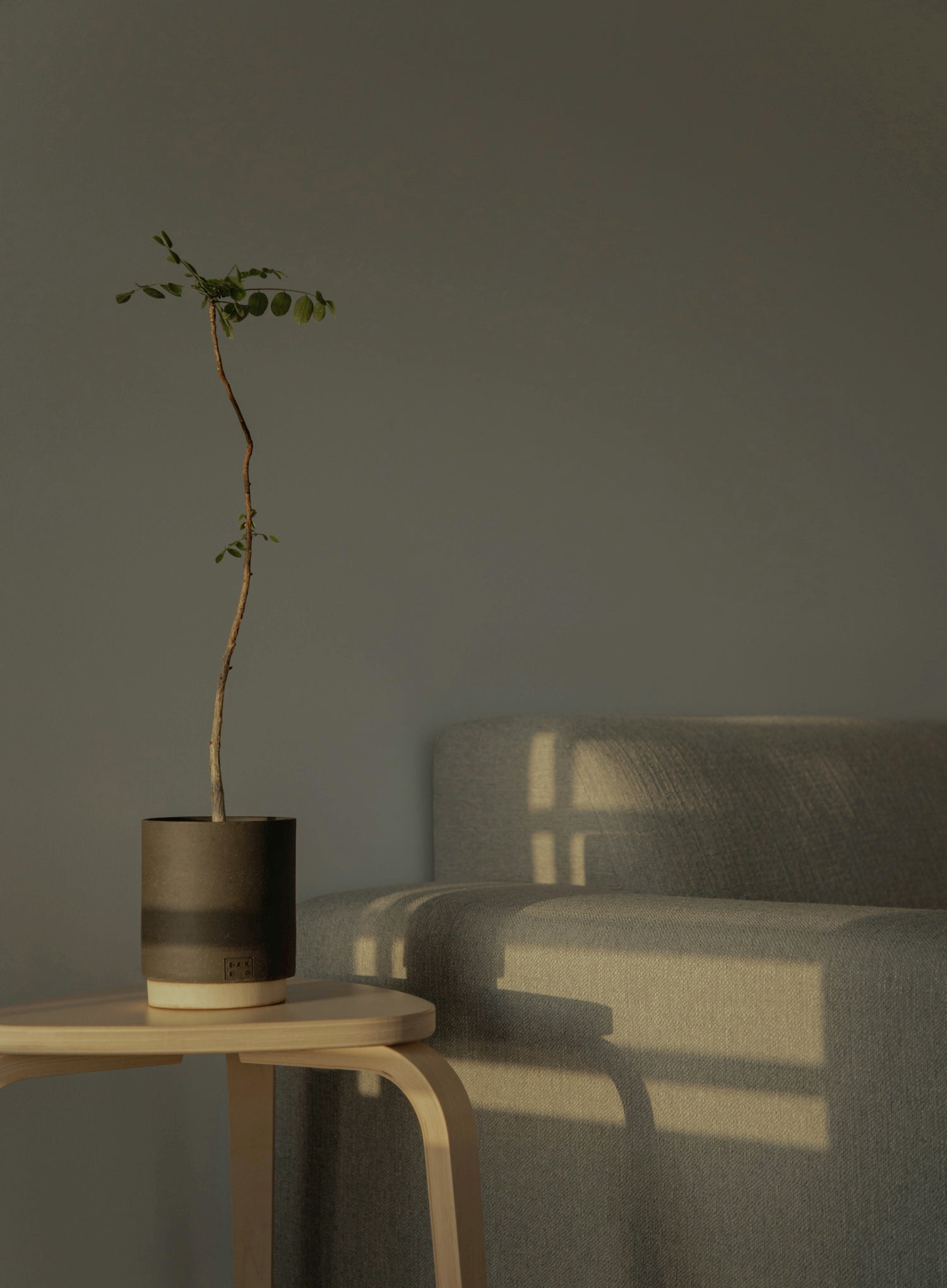 Fenster neu gedacht: Entfalten Sie das Potenzial von Folien und Licht im Interior