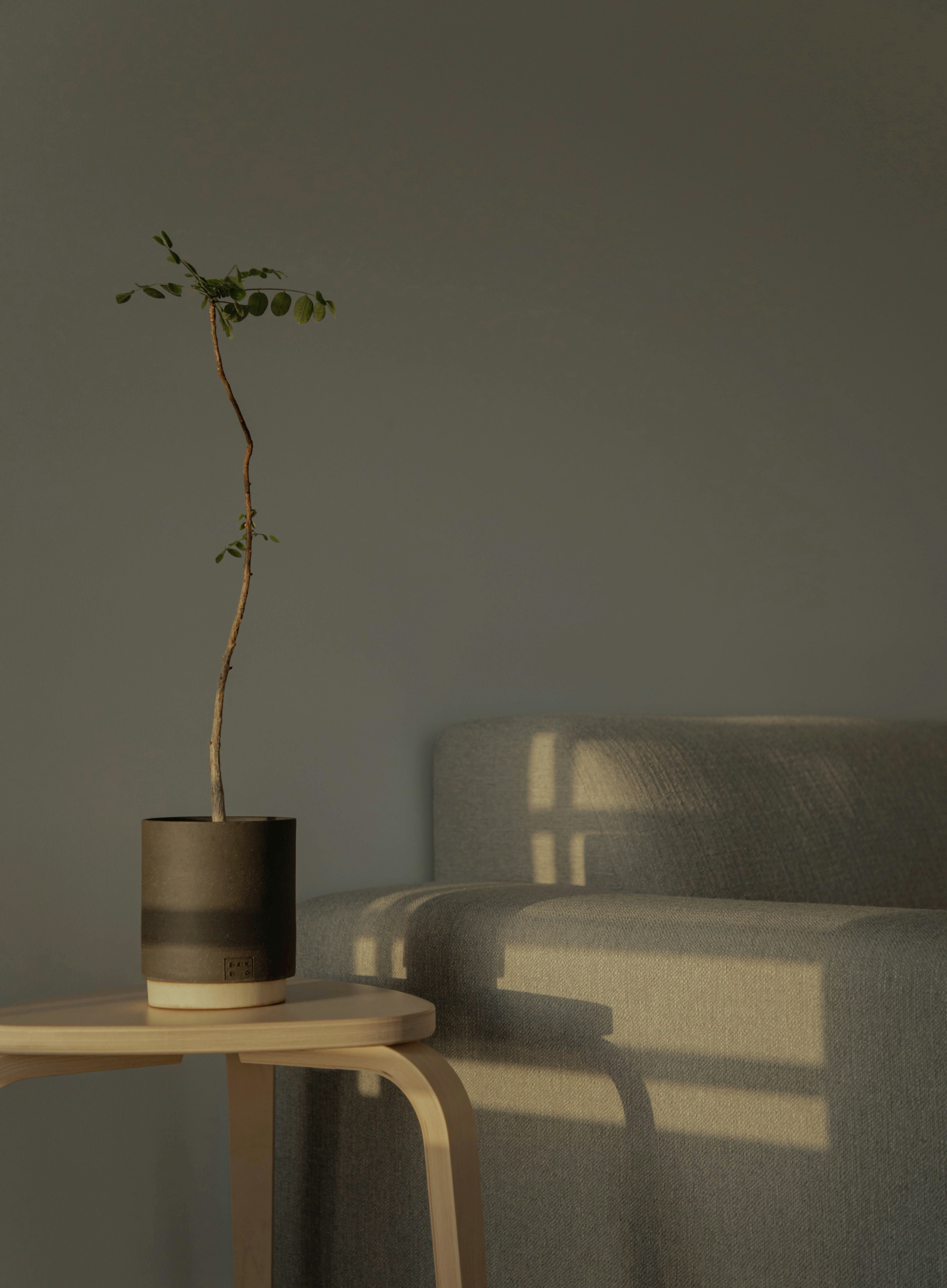 Fenster neu gedacht: Entfalten Sie das Potenzial von Folien und Licht im Interior