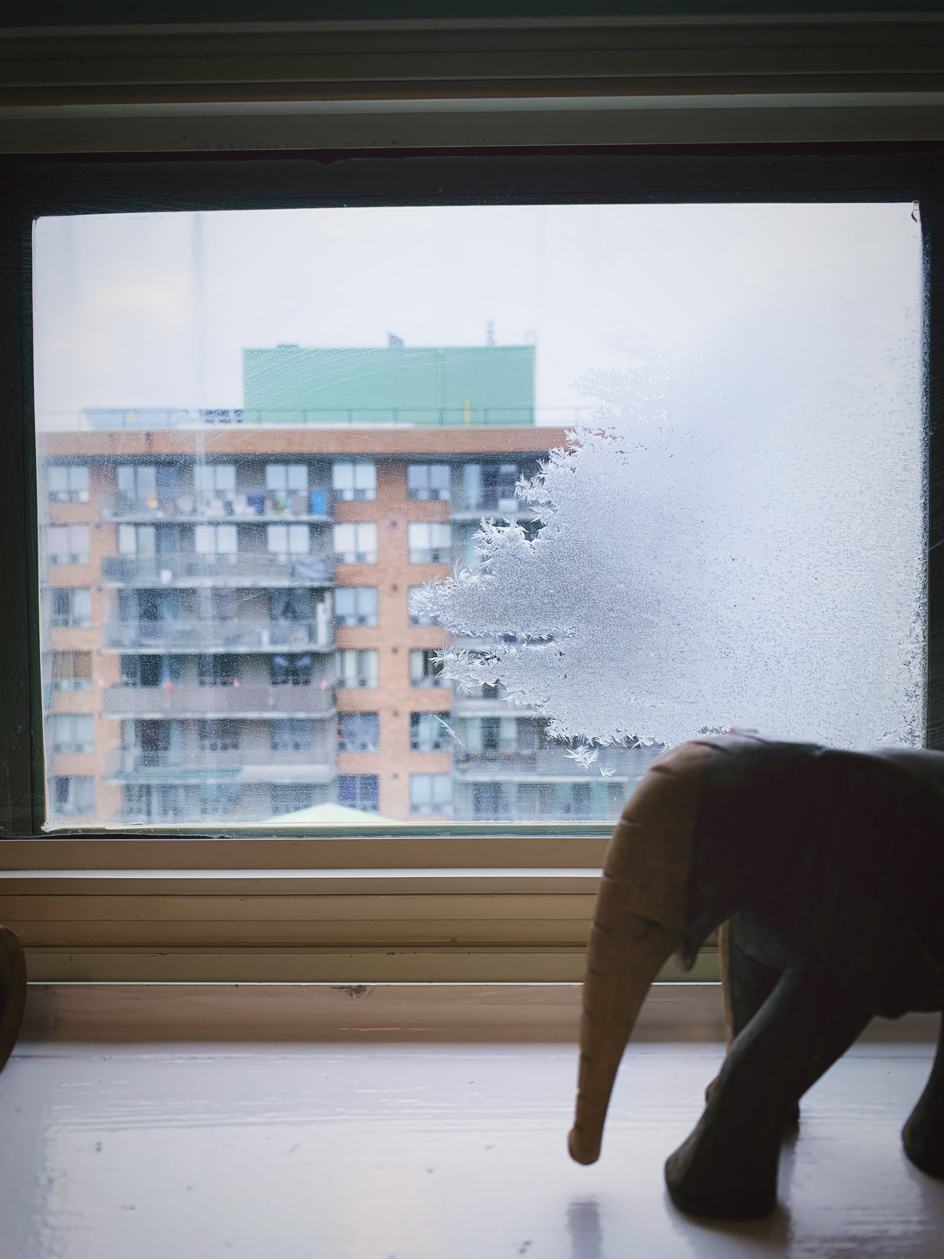 Effektiver Winterschutz: Fensterfolie - Ihr Geheimtipp für warme Räume!