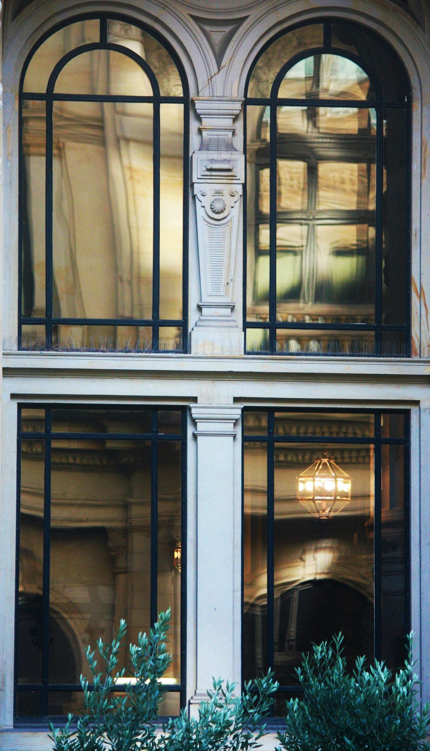 Fensterfolien und Pflanzen: Der ideale Sichtschutz für Ihren Urban Jungle