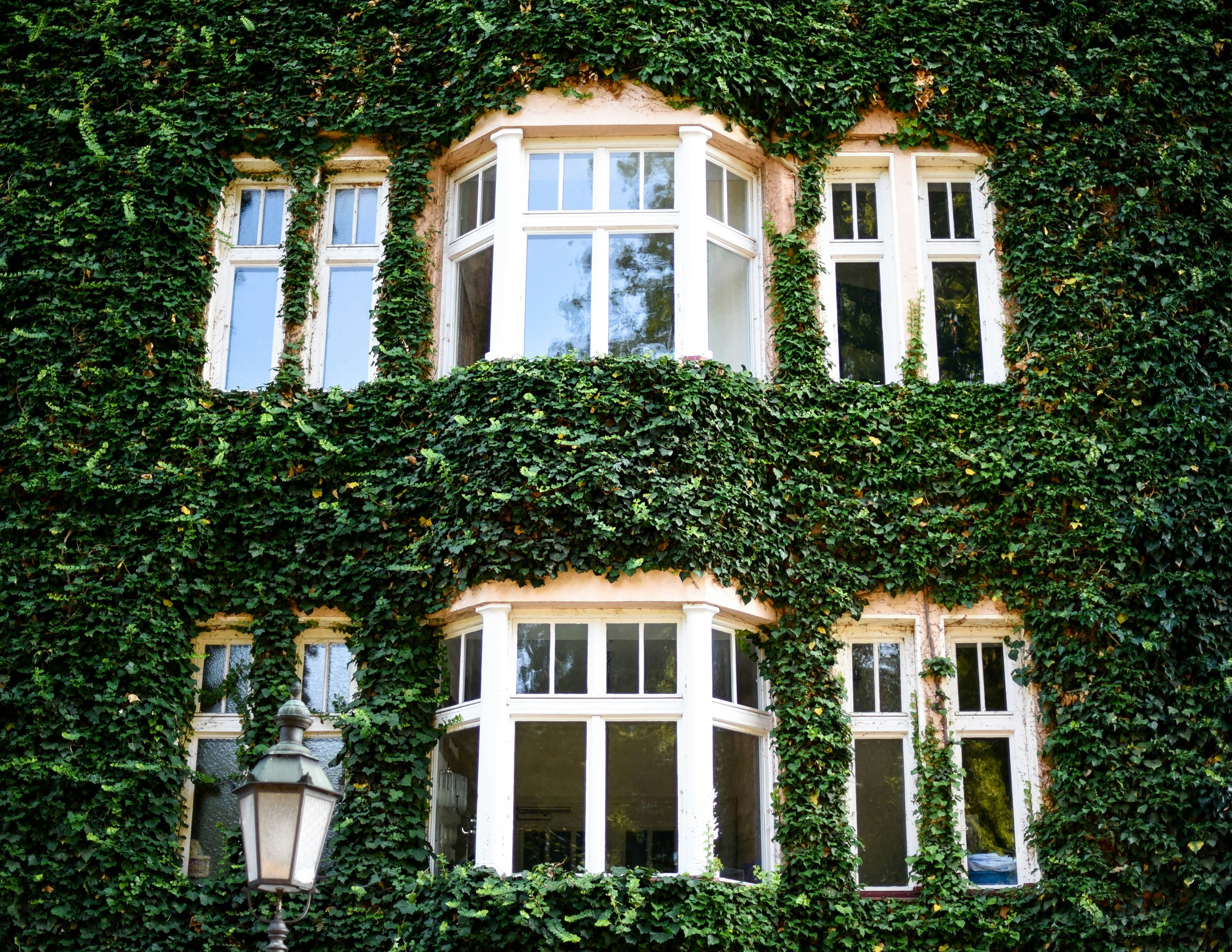 Nachhaltige Fensterfolien: Der einfache Weg zu mehr Energieeffizienz in Ihrem Zuhause