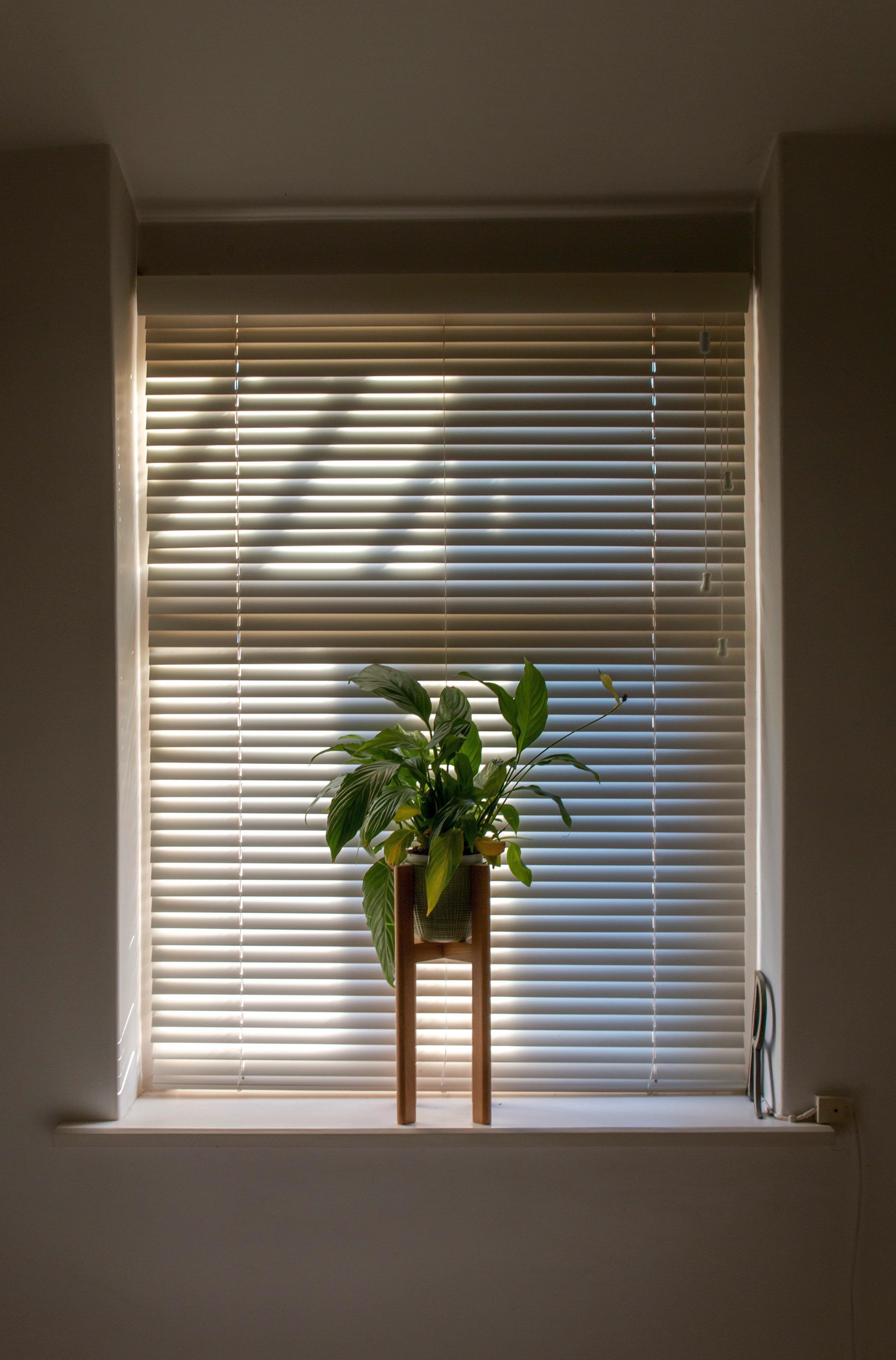 Sichtschutzfolien, Rollos und Jalousien: Tipps zur Fenstergestaltung