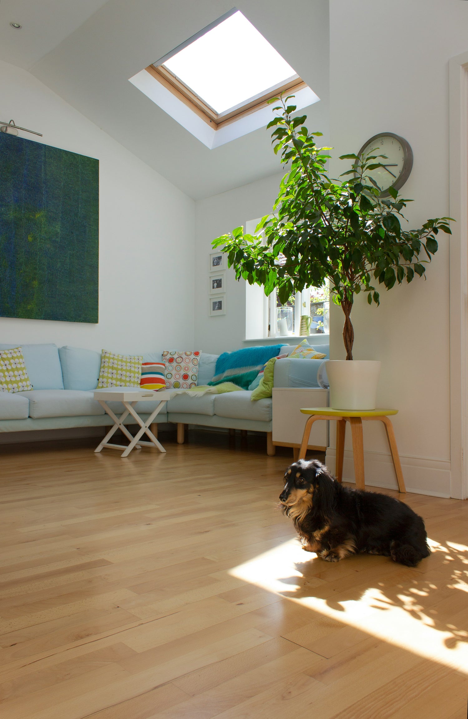 Fenstergestaltung für das Wohnzimmer: Tipps für eine stilvolle und gemütliche Raumgestaltung