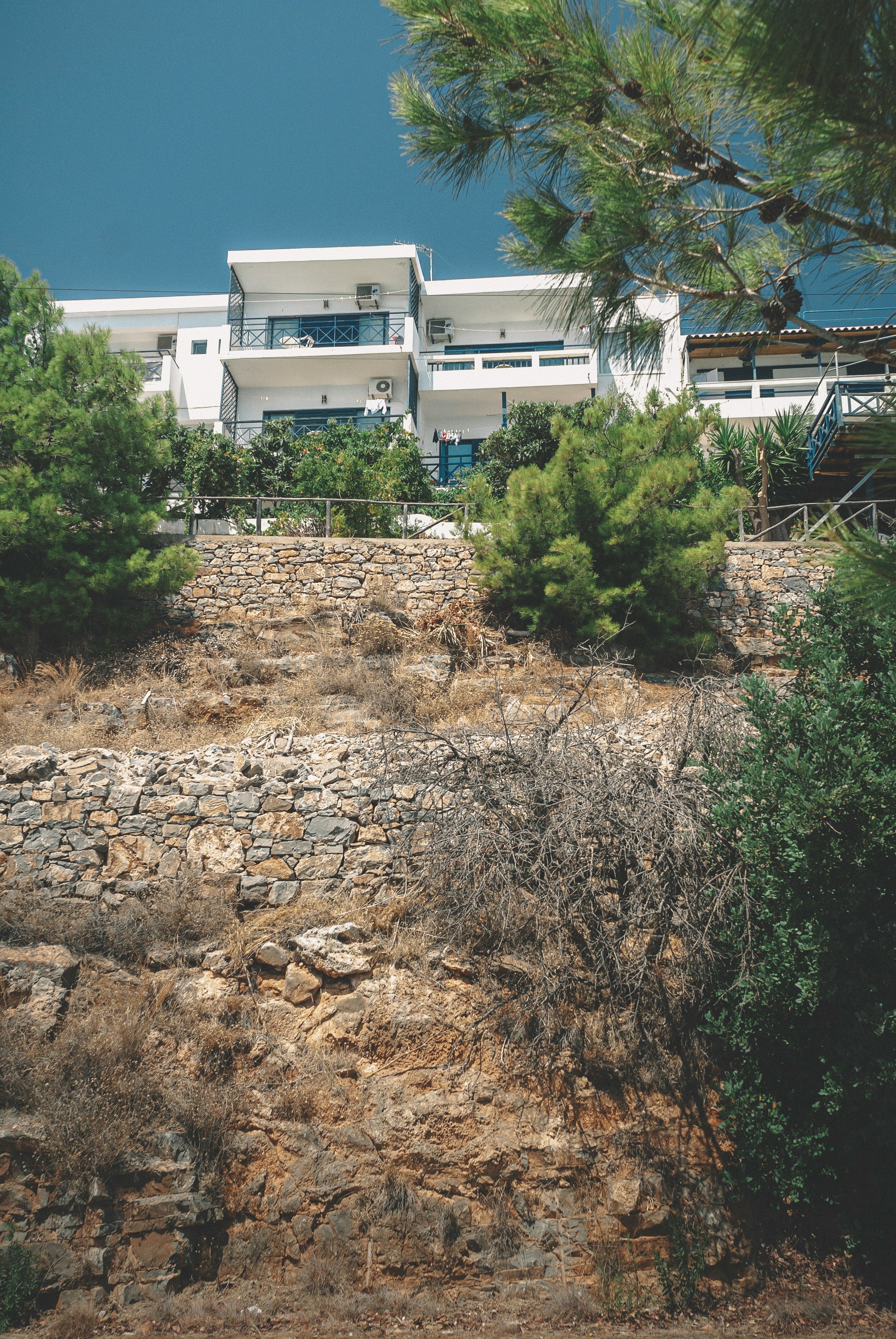 Fragen Sie sich, wie Sie nachhaltig leben können? Tipps für eine grüne Raumgestaltung