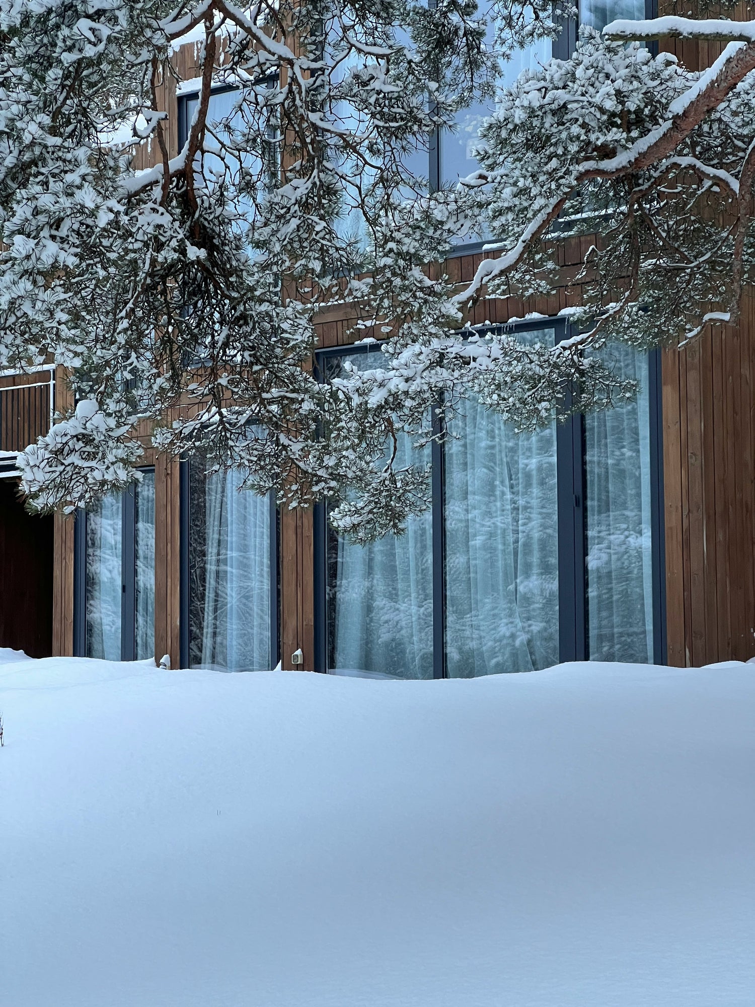 Schneeflocken für Ihr Fenster: So schaffen Sie festliche Stimmung mit Fensterfolien