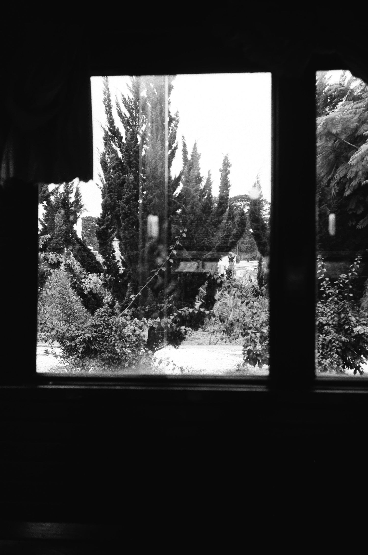 Wie Fensterfolien Ihrem Zuhause neuen Glanz verleihen – Schritt für Schritt erklärt