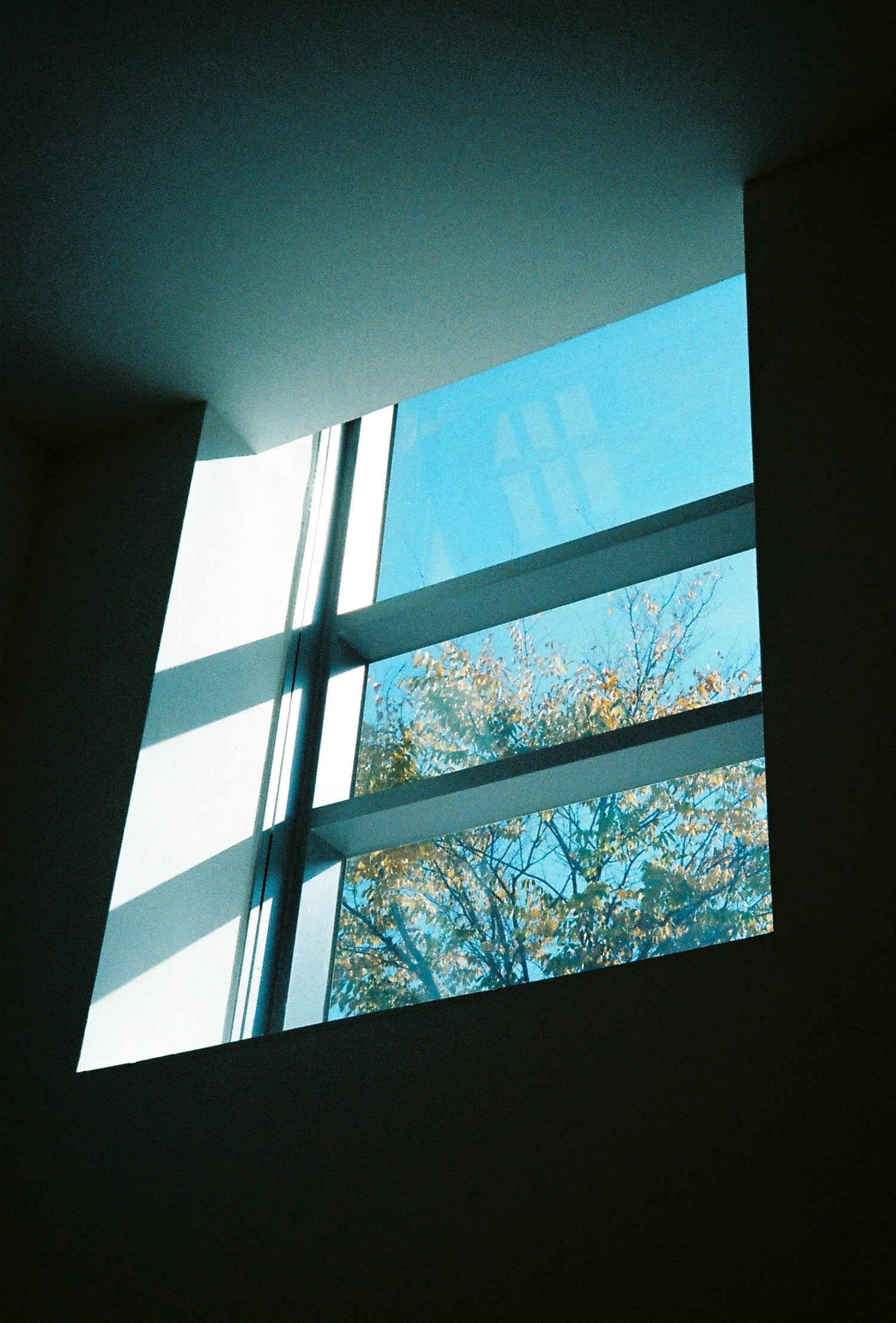 Räume im Wandel: So schaffen Sie durch Sichtschutz neue Zonen und Freiräume