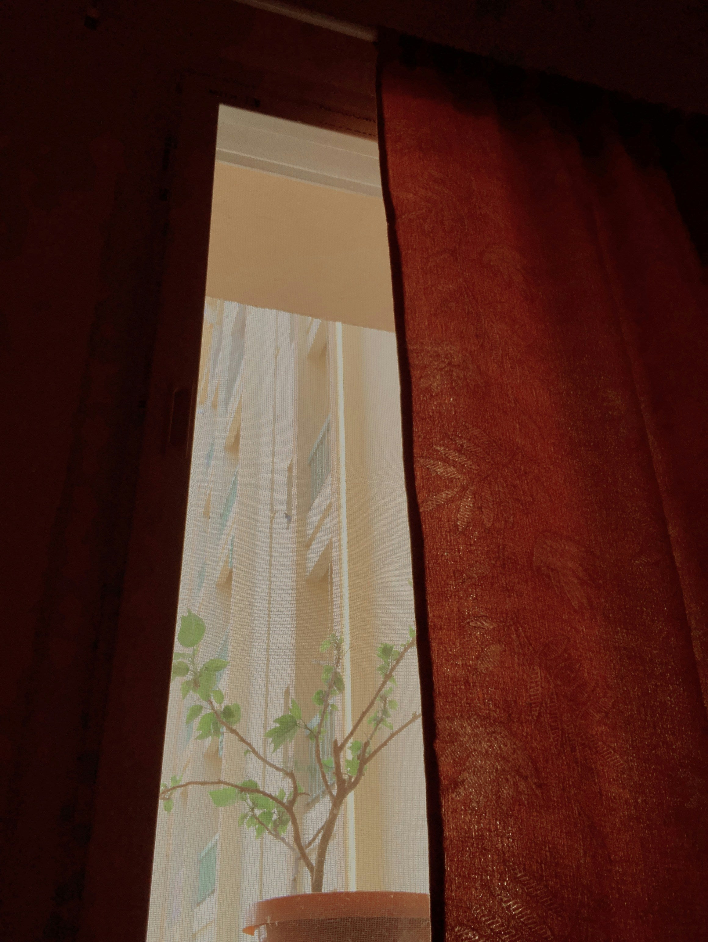 Fragen zur Fenstergestaltung: Wie tragen nachhaltige Gardinen zu einem besseren Raumklima bei?