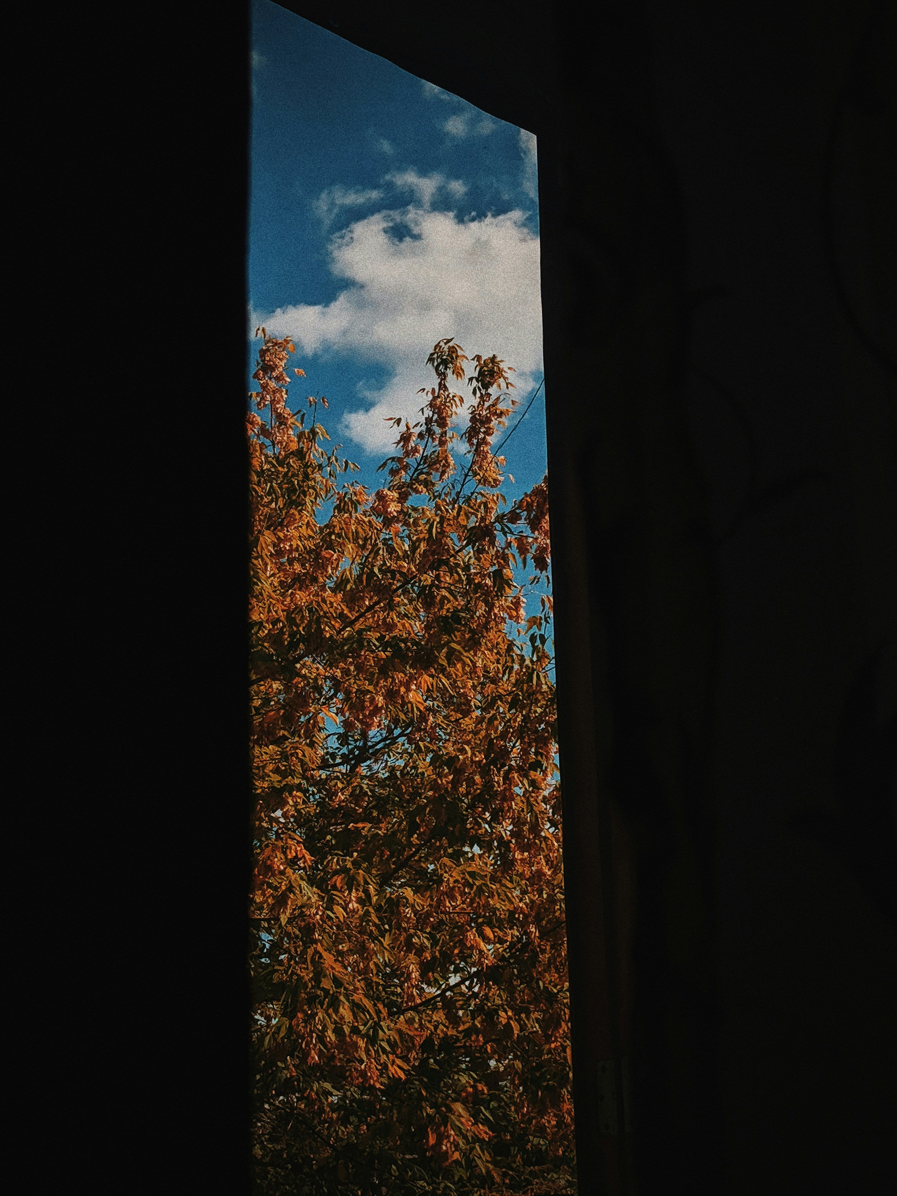 Schützen Sie Ihre Einrichtung: Die Vorteile von Fensterfolien mit UV-Schutz im Überblick