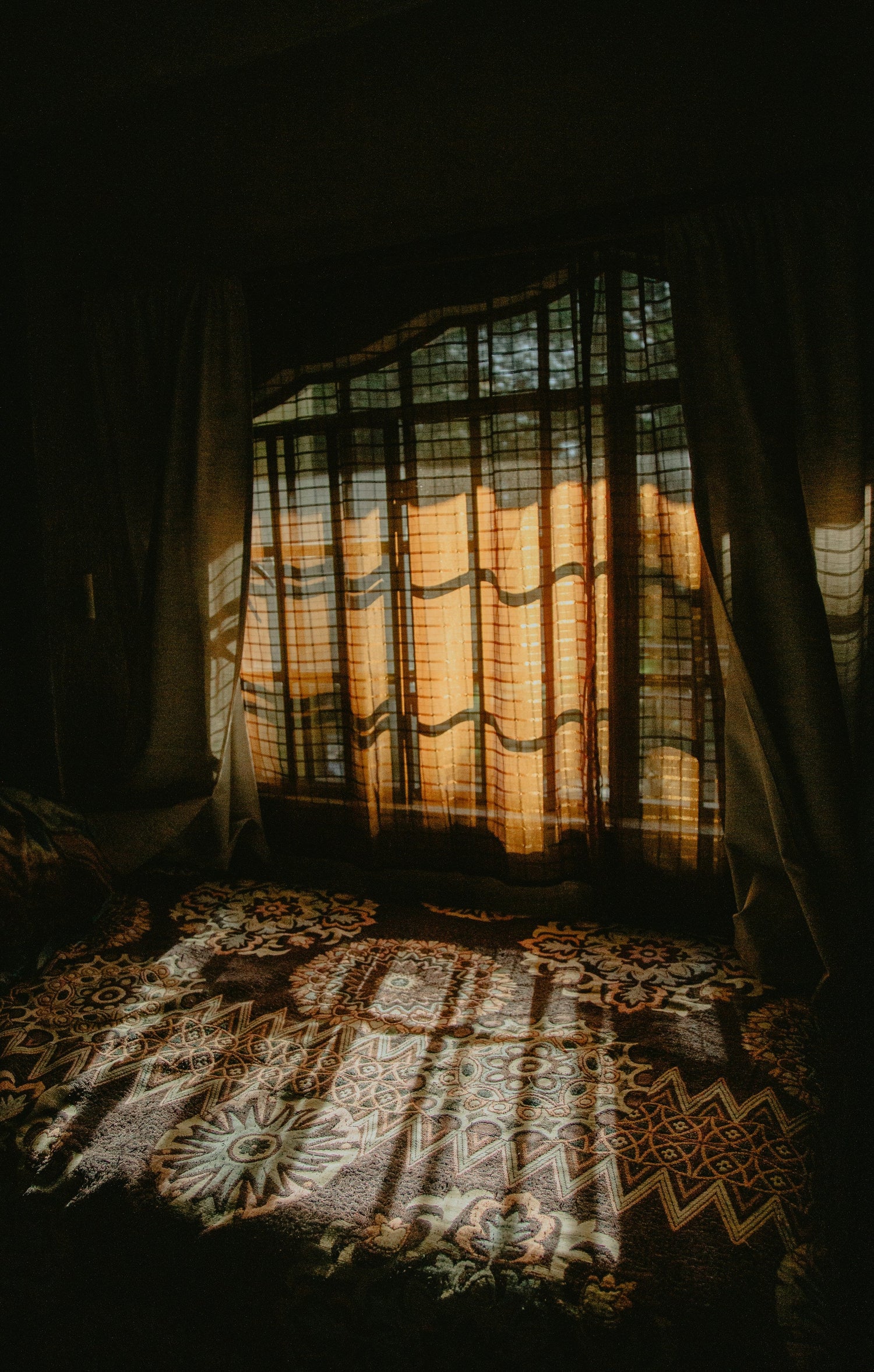 Tageslicht clever lenken mit Fensterfolien – Ihr Weg zu hellerem Raum und diskretem Ambiente