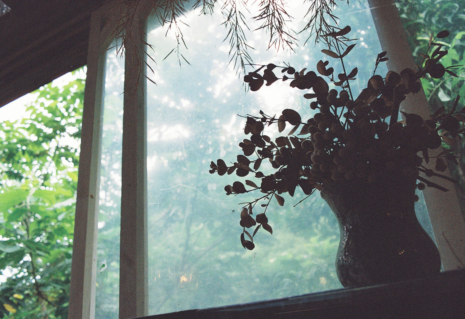 Sonnenschutzfolie innen oder außen anbringen? - MARAPON®