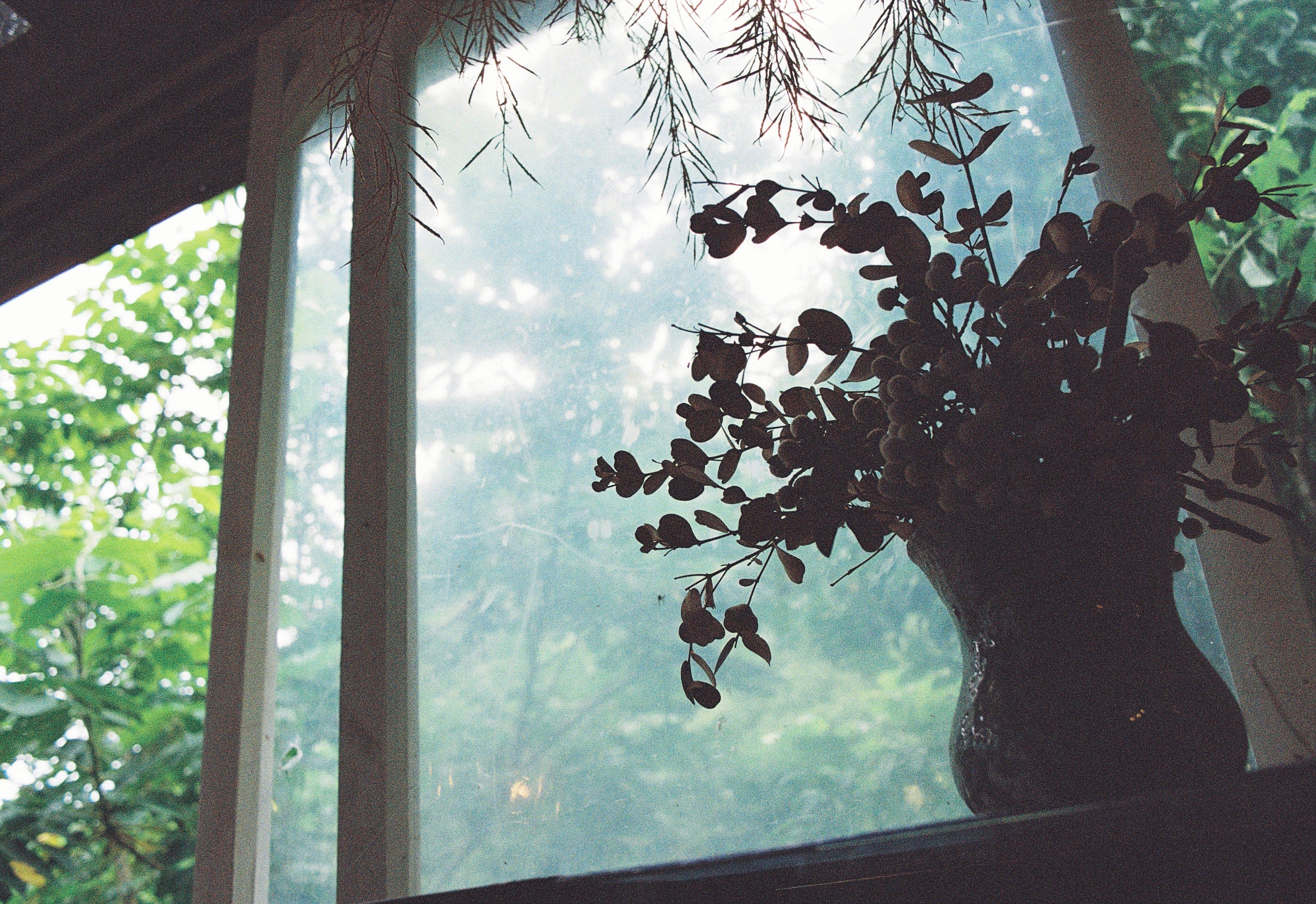 Sonnenschutzfolie innen oder außen anbringen? - MARAPON®