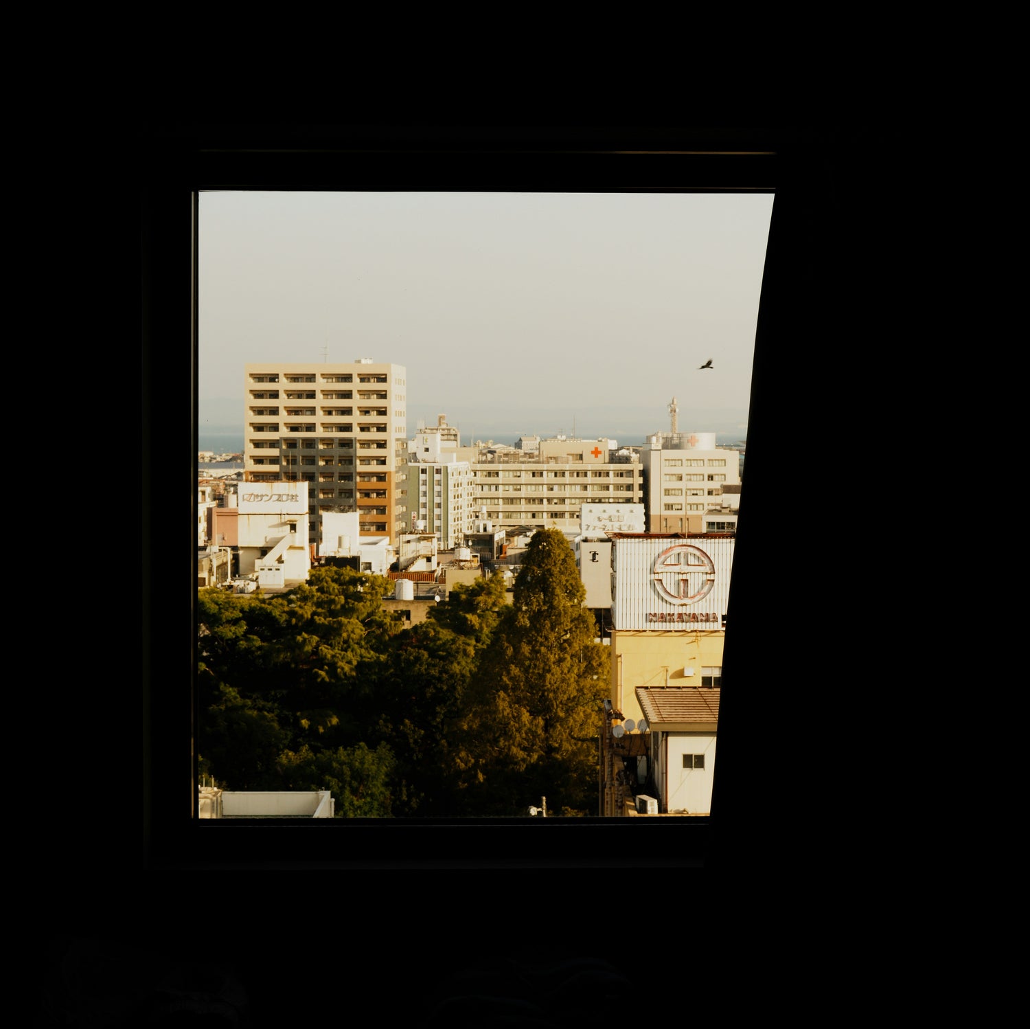 Fensterfolien für Kinder: Ein Sichtschutz voller Farben und Freude