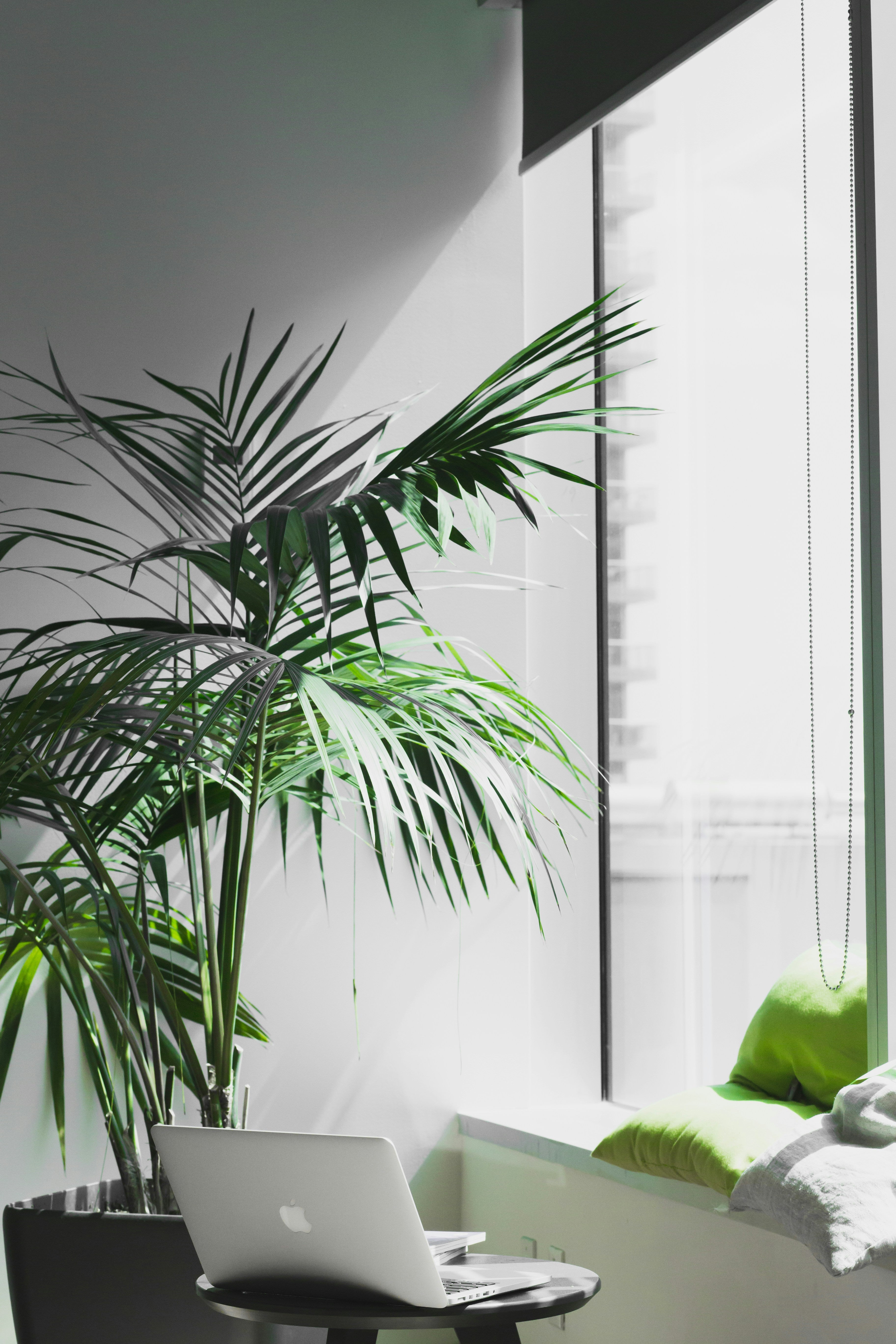 Wie die richtige Fenstergestaltung Ihre Produktivität im Home Office steigert