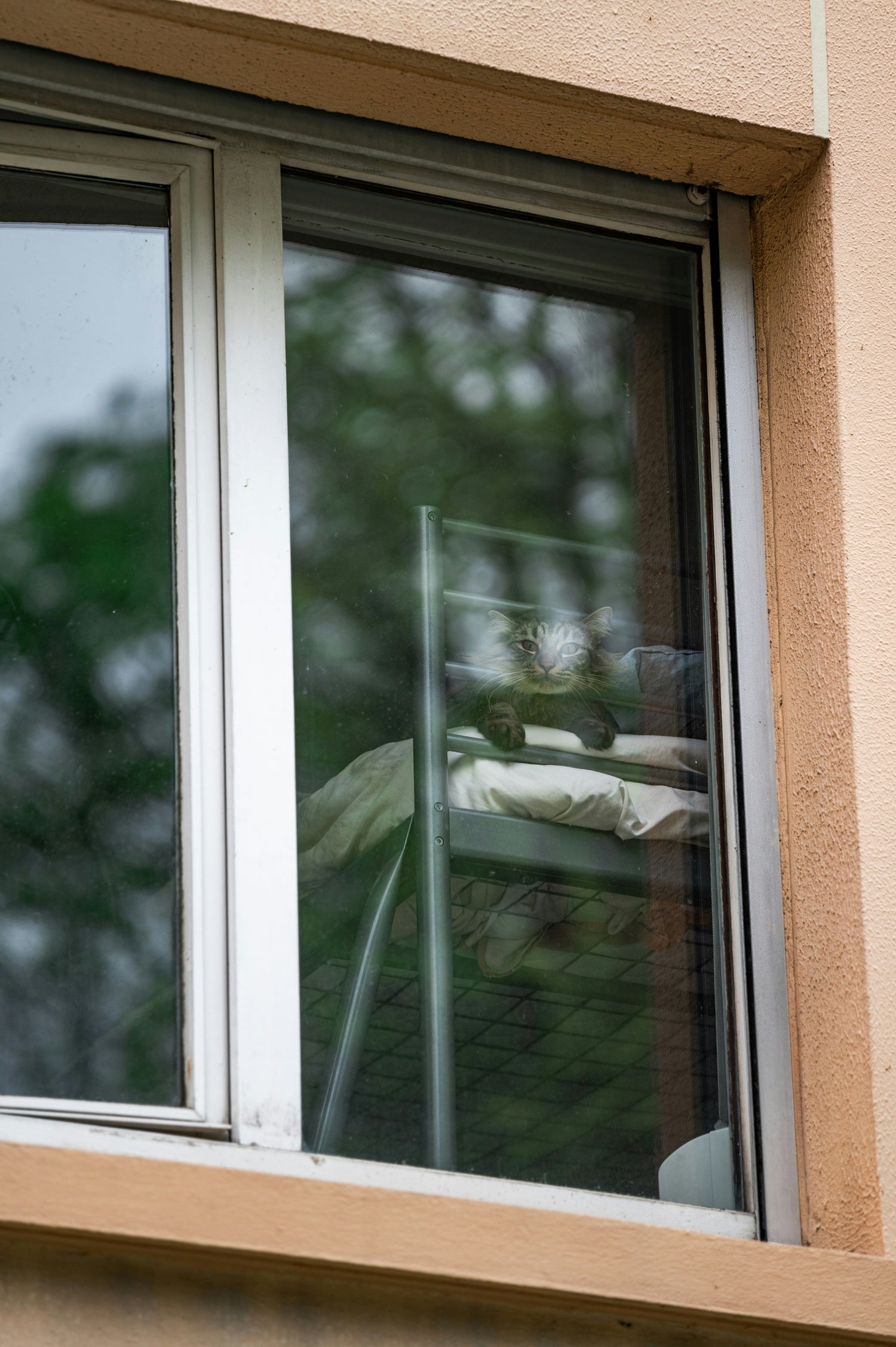 Fenstergestaltung leicht gemacht: Saisonale Trends für Ihr Zuhause