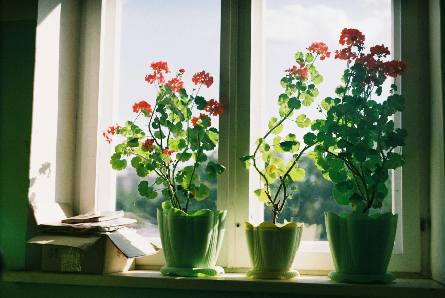 Fensterfolien: Kreative Gestaltungsideen für eine persönliche Note im Wohnraum