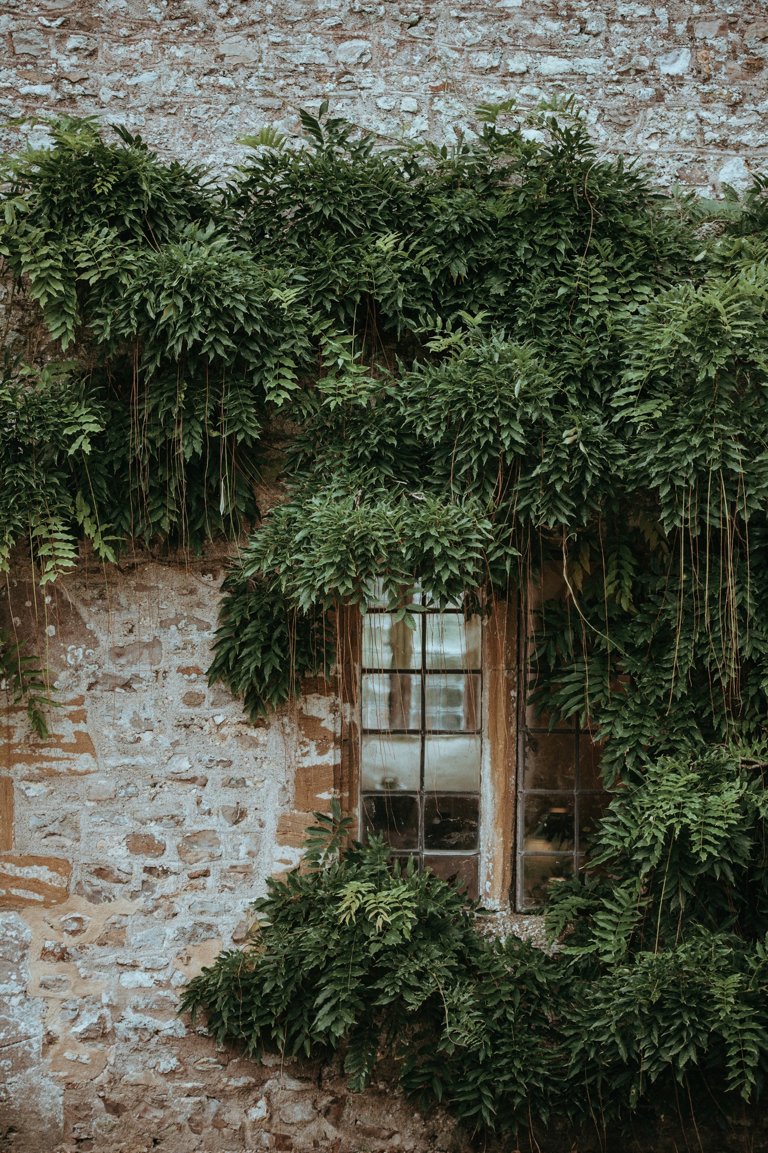 Nachhaltige Fensterfolien: Schützen Sie Ihr Zuhause und die Umwelt