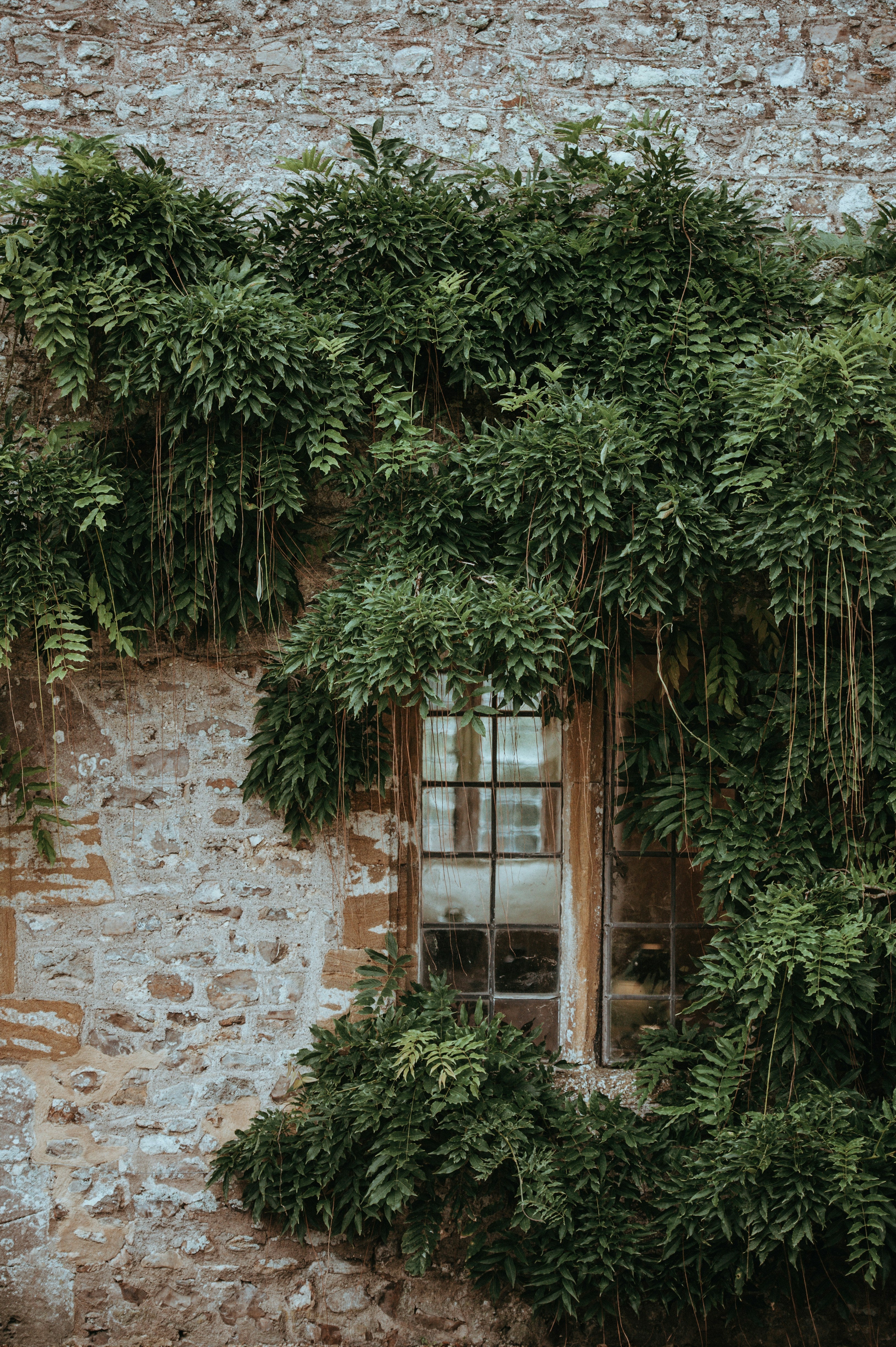 Nachhaltige Fensterfolien: Schützen Sie Ihr Zuhause und die Umwelt