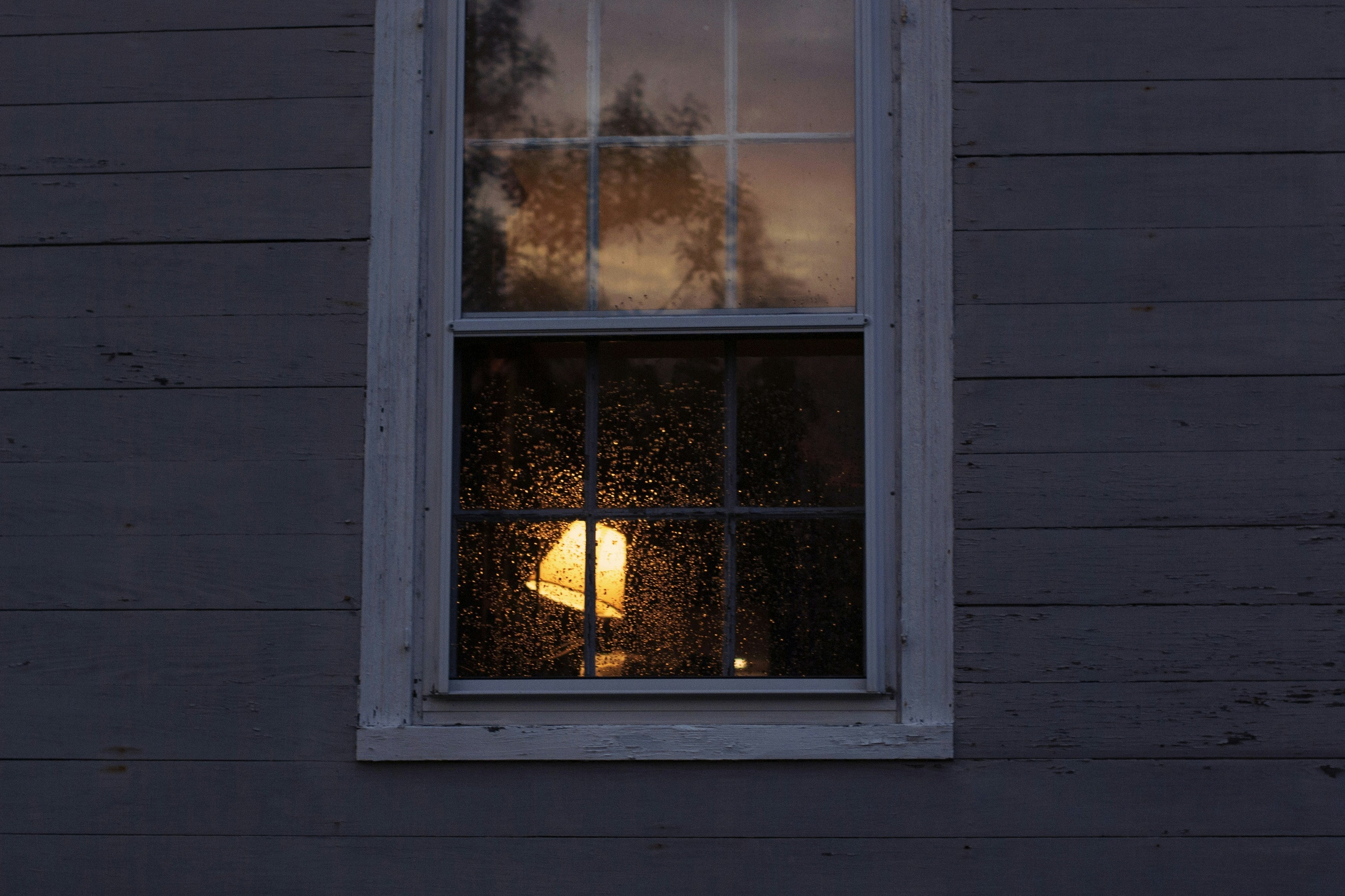 Fenstergestaltung mit Konzept: Wie Sie Licht gezielt lenken und Räume stilvoll gestalten