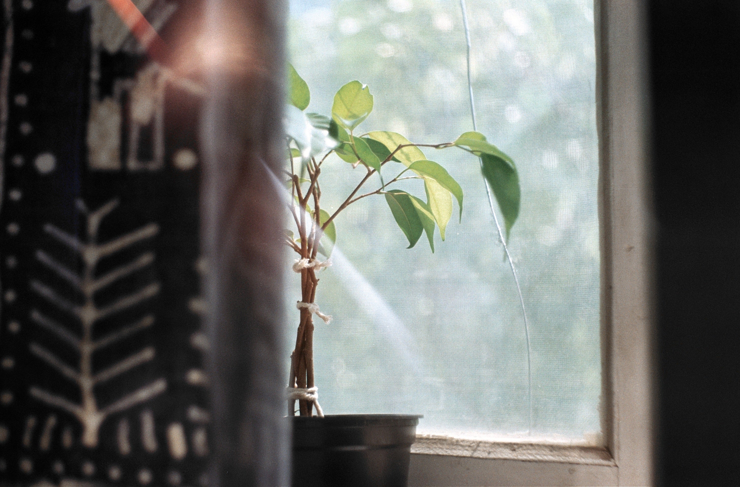 Mit Fensterfolie das Design Ihrer Räume aufpeppen