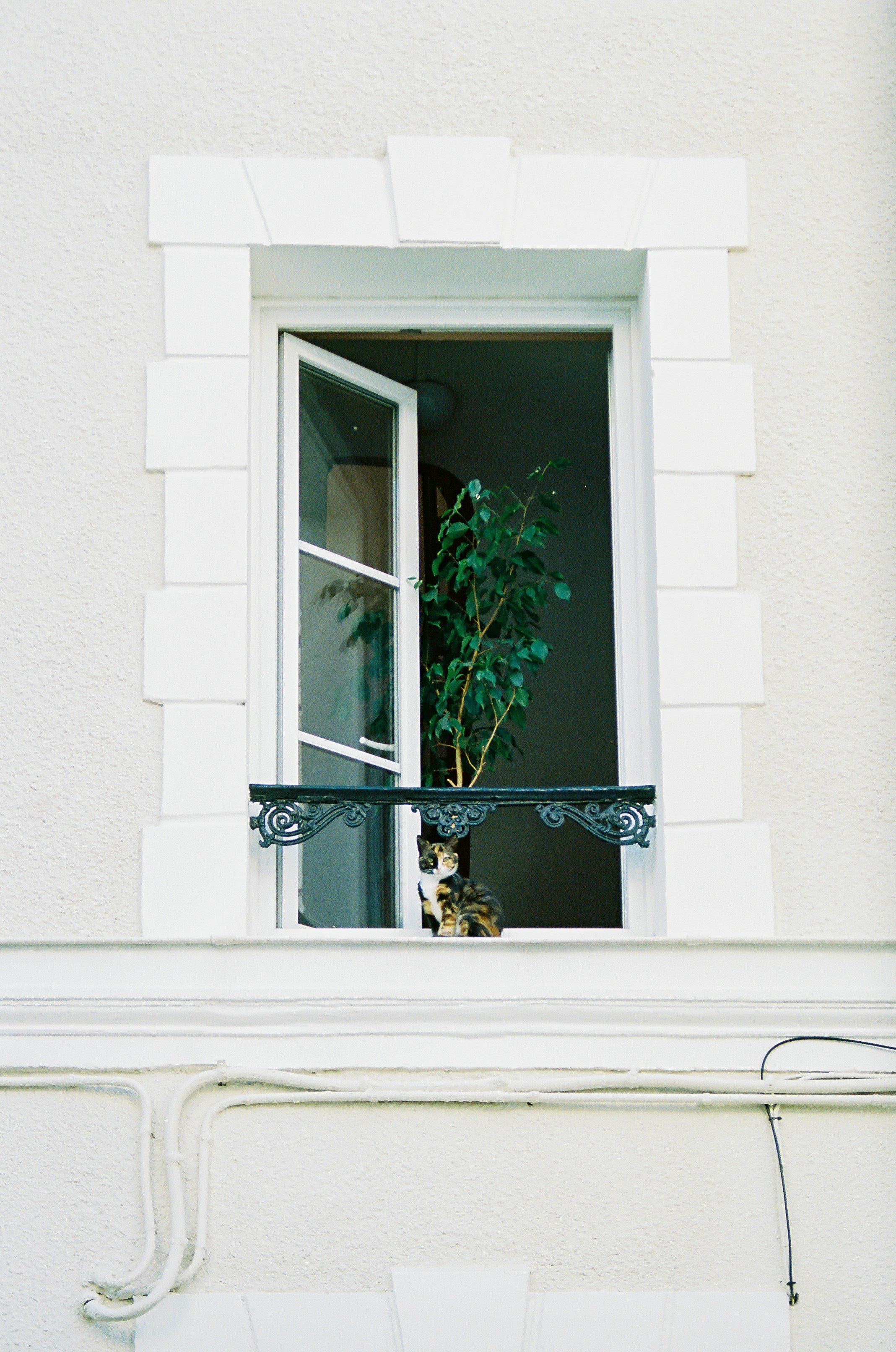 Kleine Veränderung, große Wirkung: Fensterfolien für mehr Weite und Licht