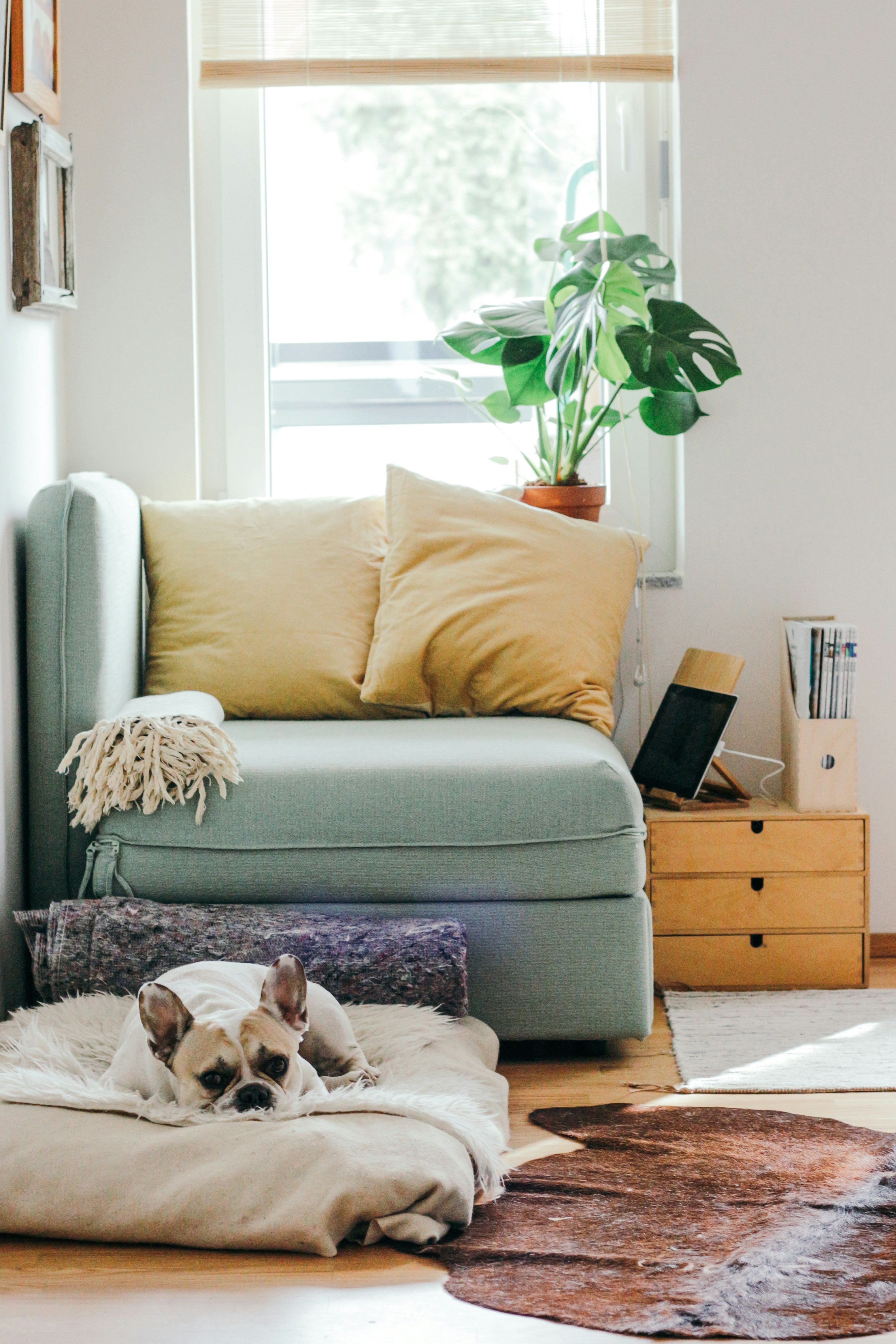 Warm und energieeffizient: Wie Sie mit Heizkörpern und Fensterfolie Kosten sparen
