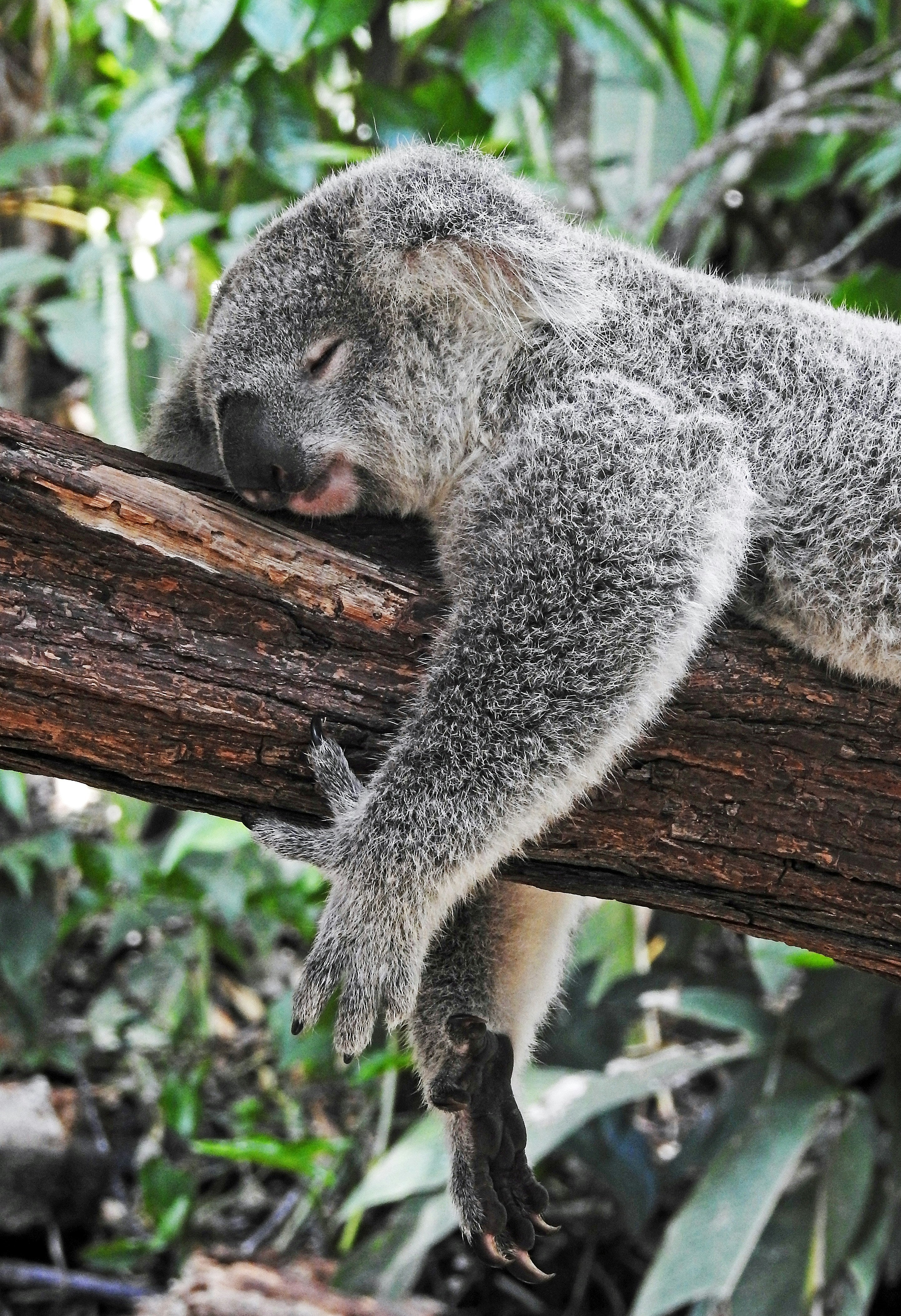 Mehr Effizienz durch besseren Schlaf: Die Wichtigkeit der Work Life (Sleep) Balance