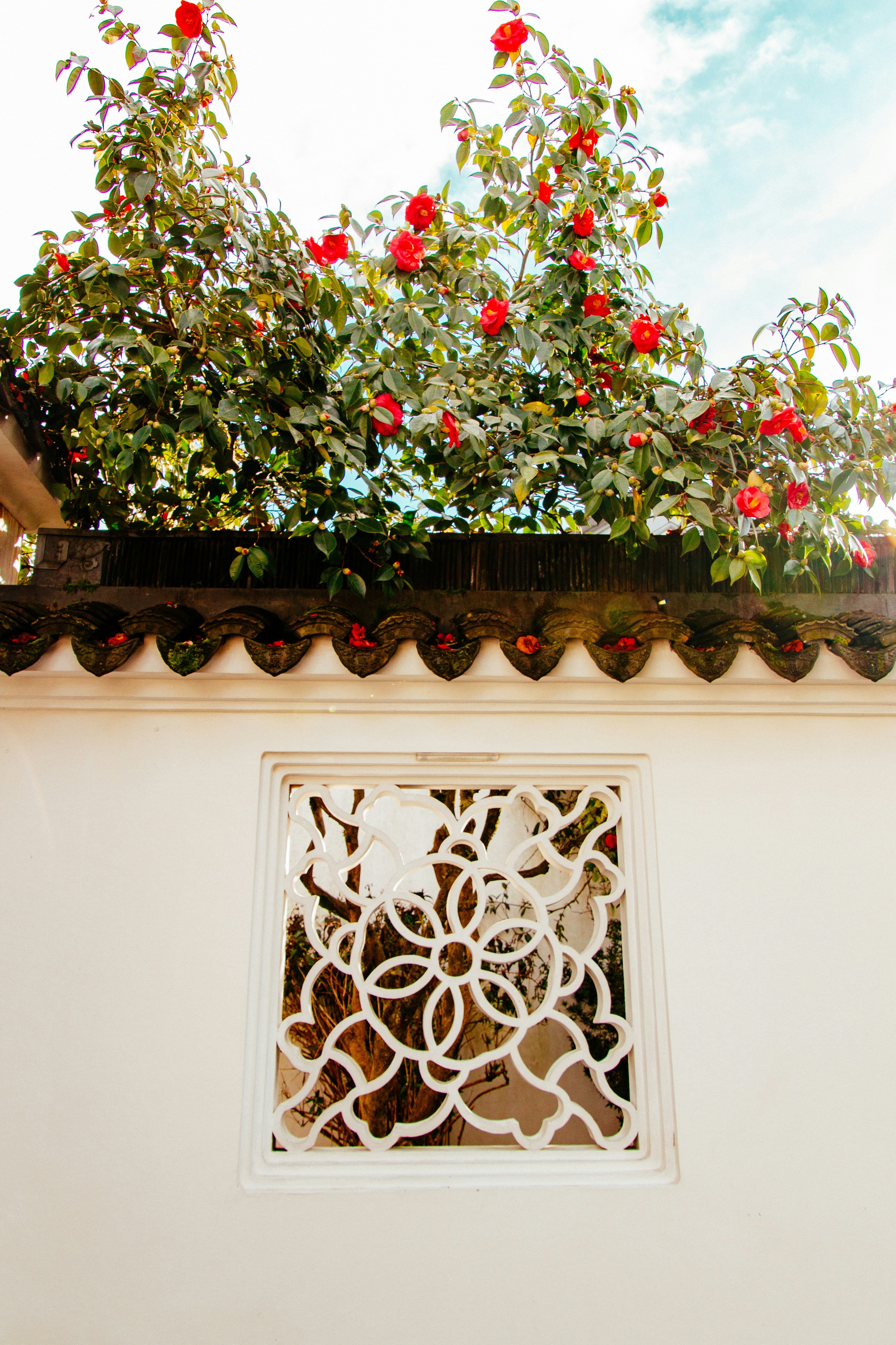 Blühende Fensterwelten: Wie Fensterfolie Ihre Räume in eine florale Oase verwandelt