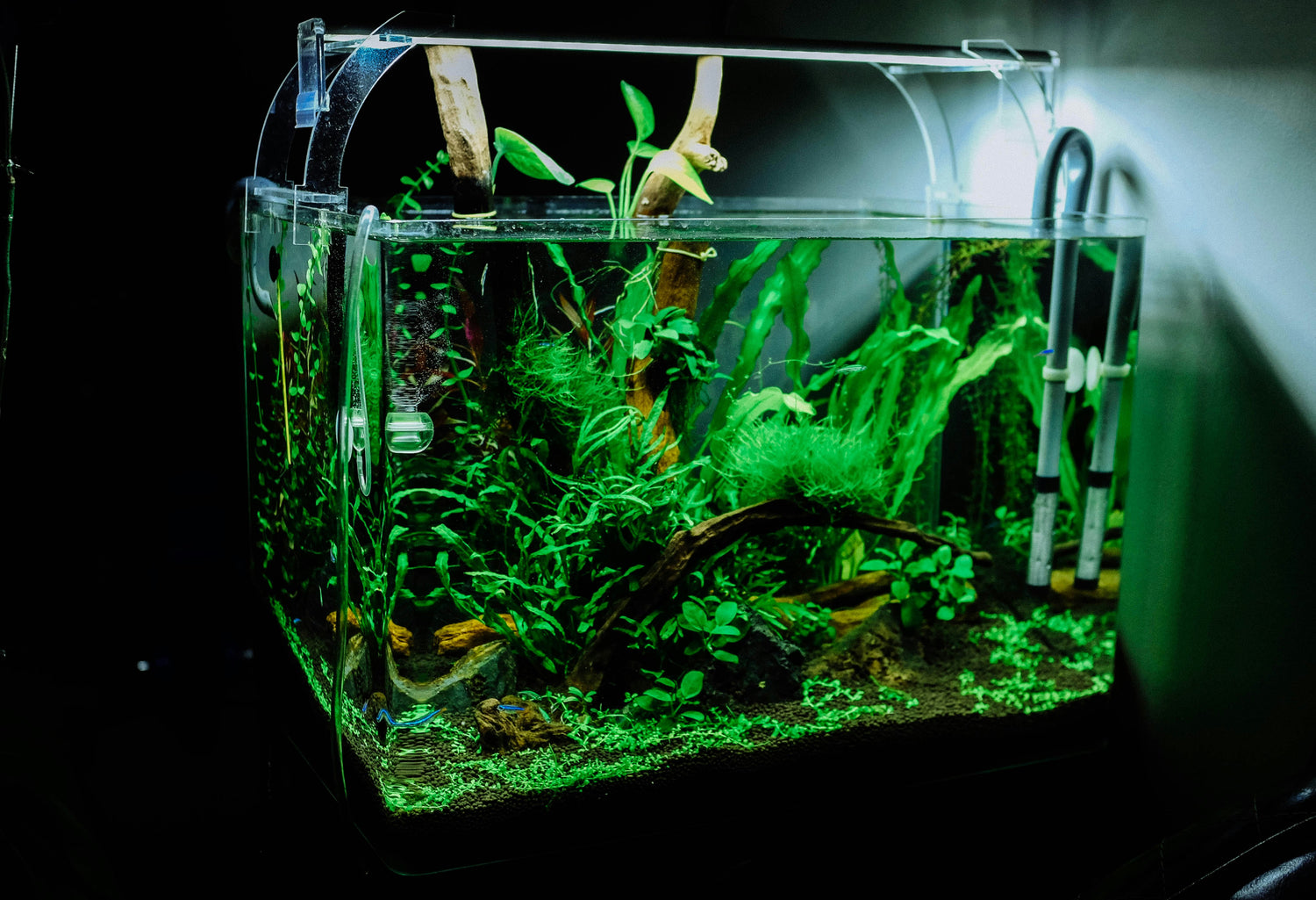 Kreative Deko-Ideen: Wie Sie mit Fensterfolie Ihr Aquarium aufwerten