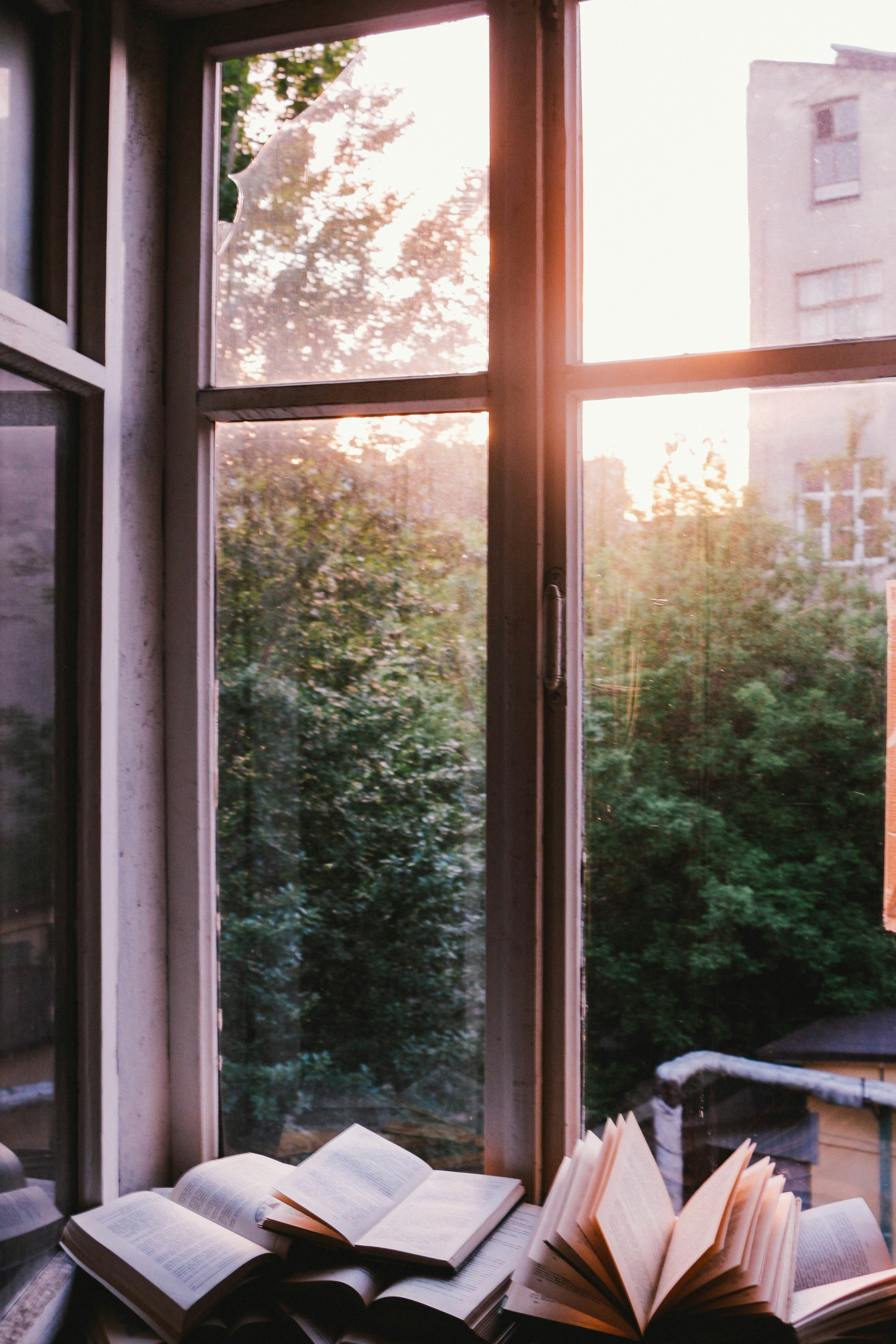 Ein Hauch von Retro: Entdecken Sie die Magie von Fensterfolien