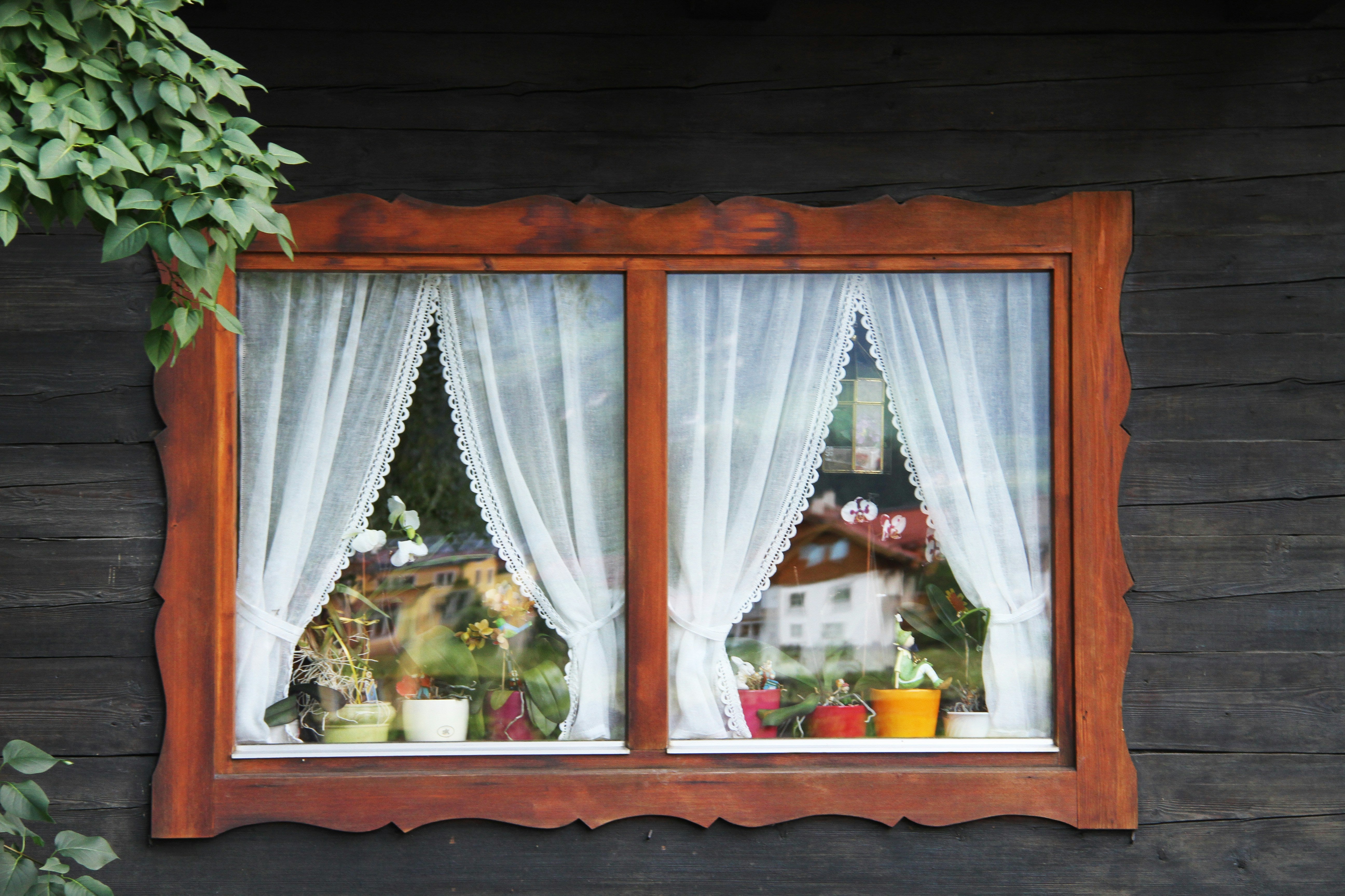 Erfahren Sie mehr: So einfach ist es, Ihre eigenen Fensterfolien zu gestalten