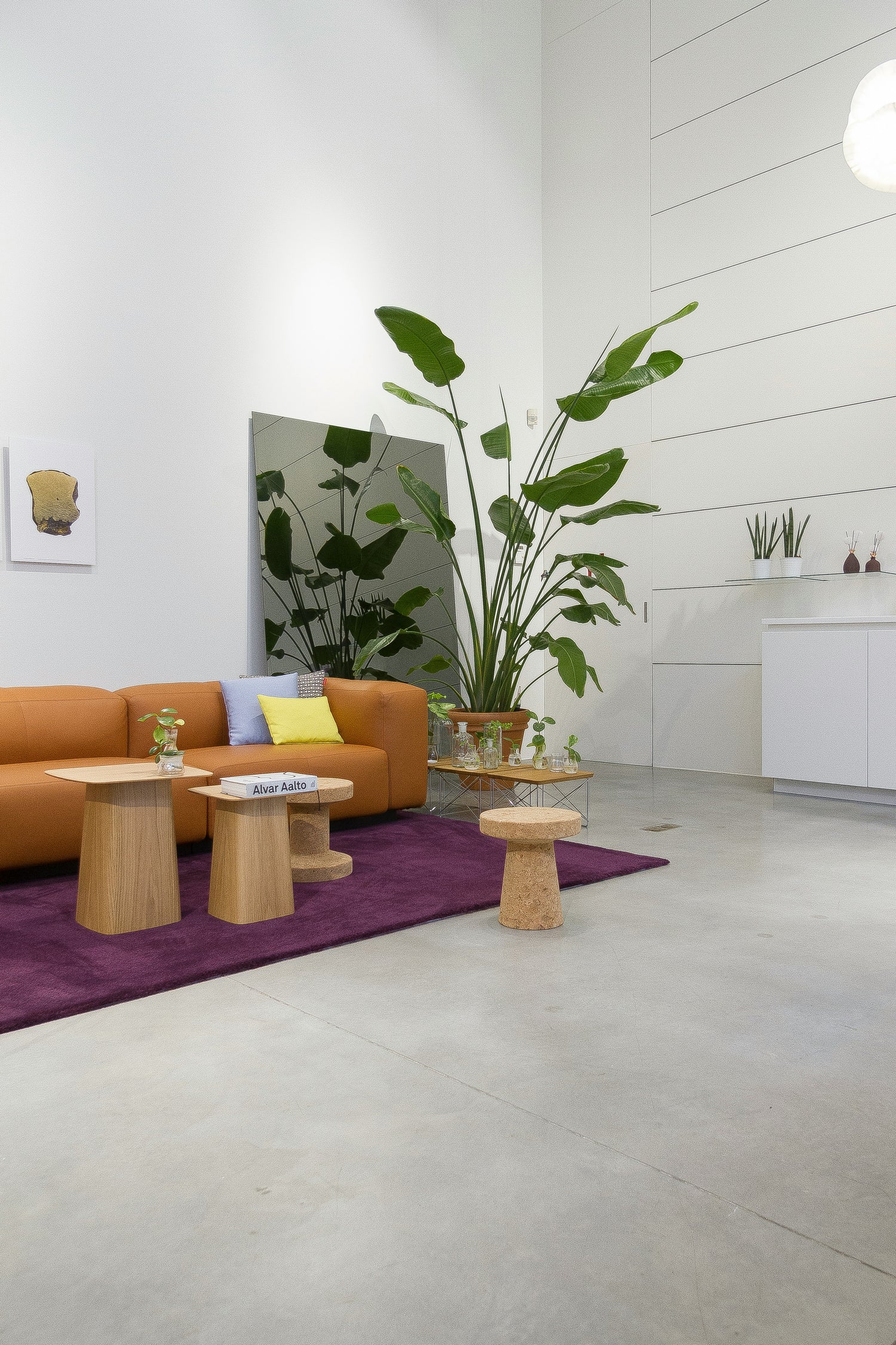 Die Kraft der Natur: Biophilic Design für ein harmonisches Wohngefühl