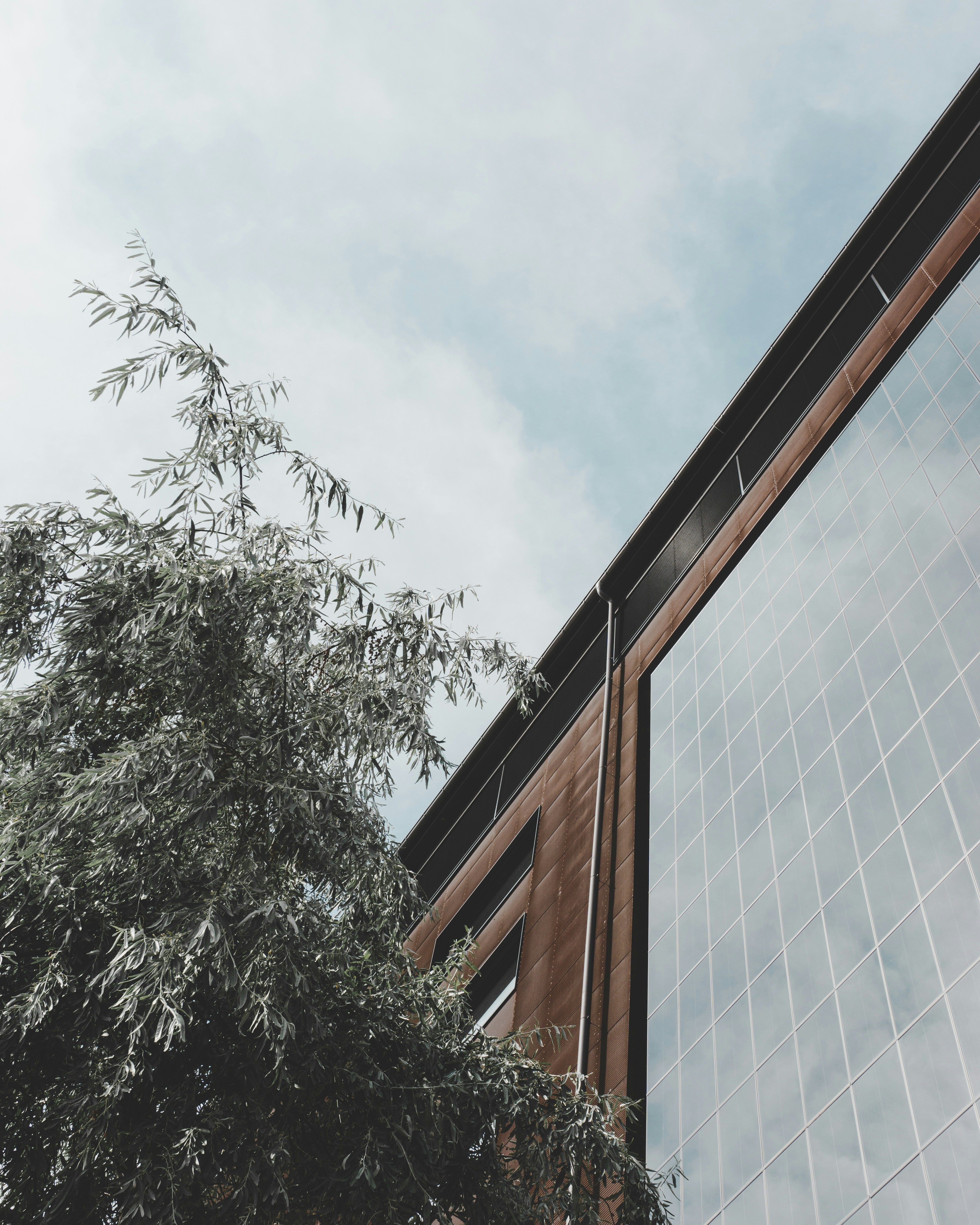 Sind Fensterfolien die Zukunft des Sichtschutzes in Smart Homes? Entdecken Sie die Vorteile!