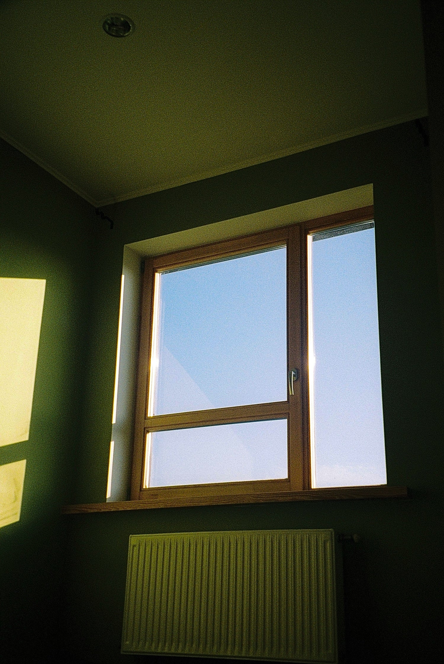 Fensterfolien im Fokus: Der ganzjährige Komfort für Ihr Zuhause