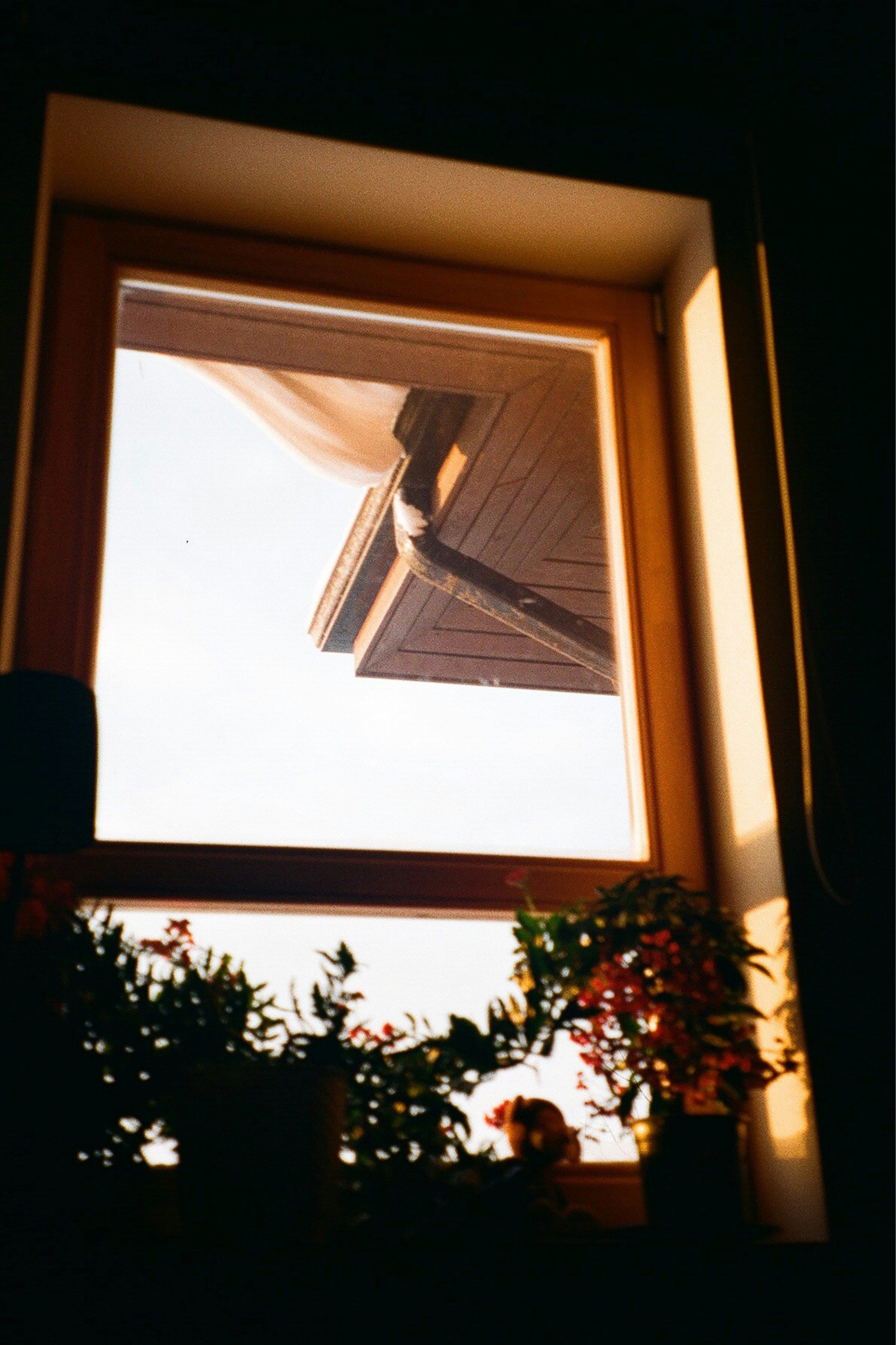 Sommerlich kühl: Die Vorteile von Fensterfolien für Ihr Zuhause