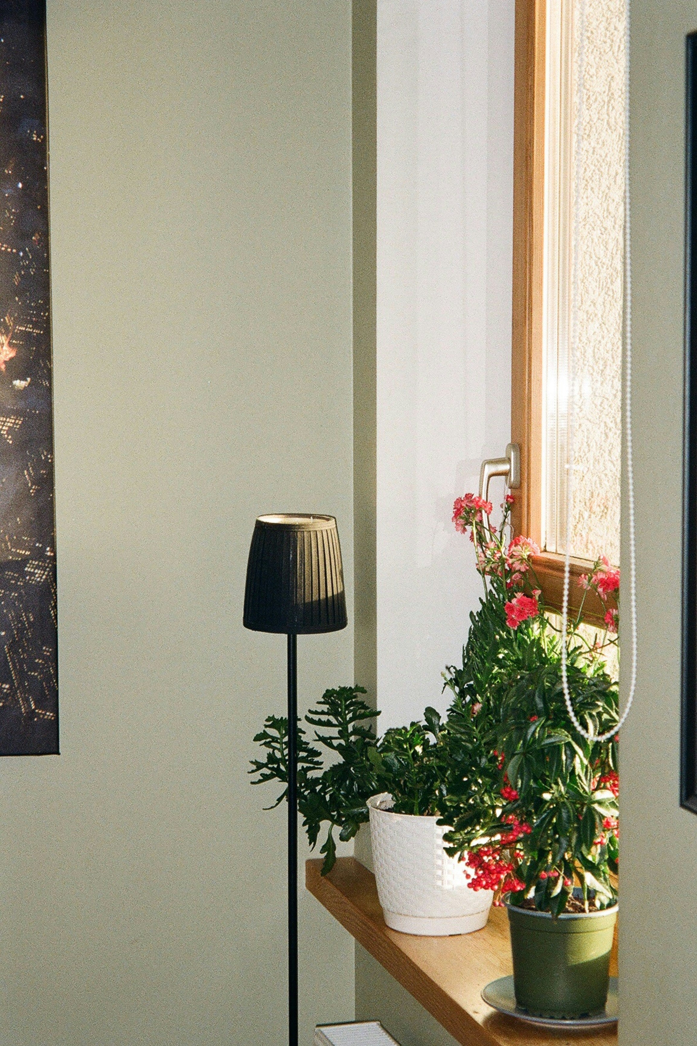 Fensterfolien clever eingesetzt – Schutz und Stil ohne Rückstände in der Mietwohnung