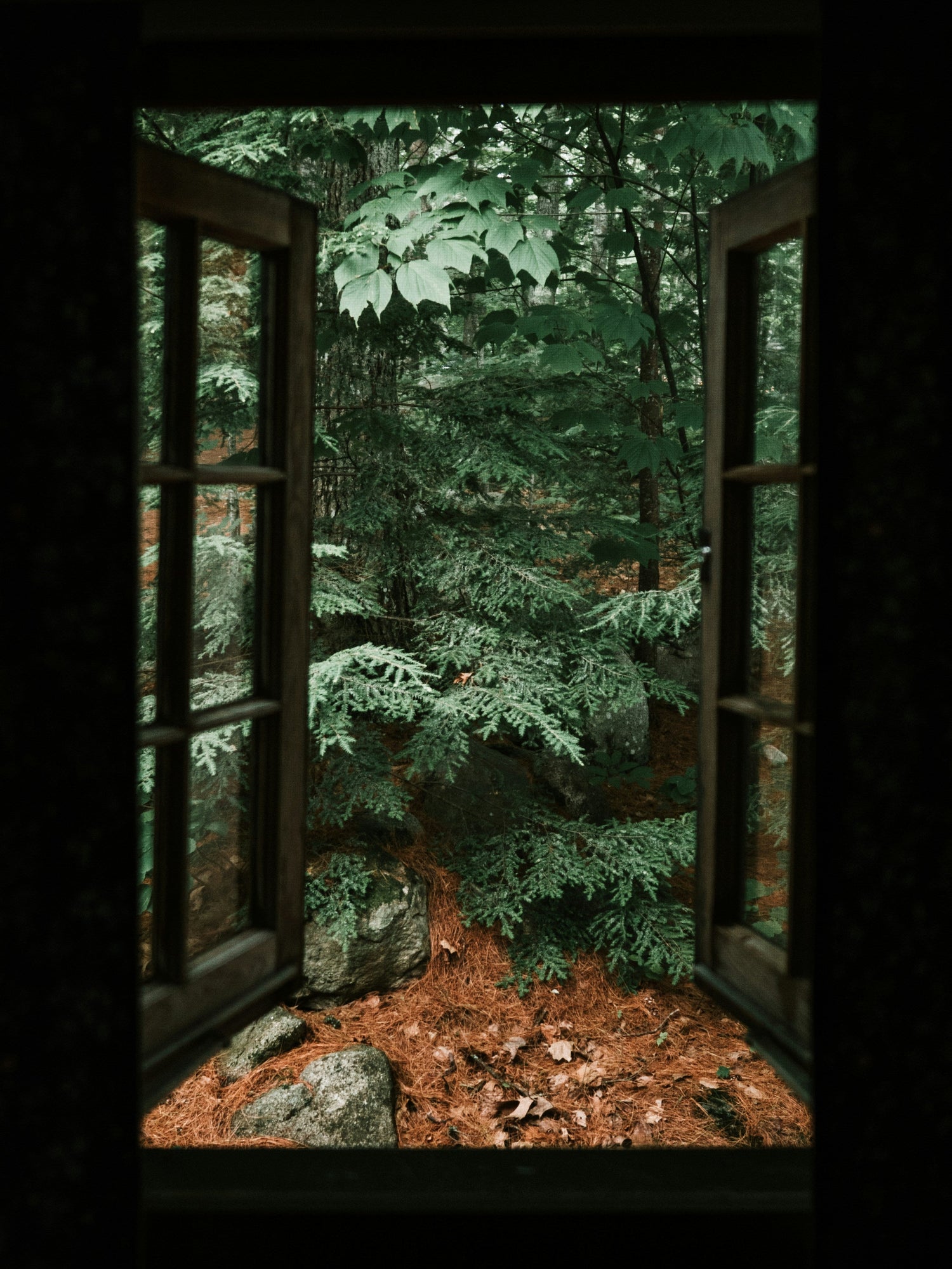 Fensterfolien gestalten: So verwandeln Sie Ihr Zuhause mit einfachen DIY-Ideen