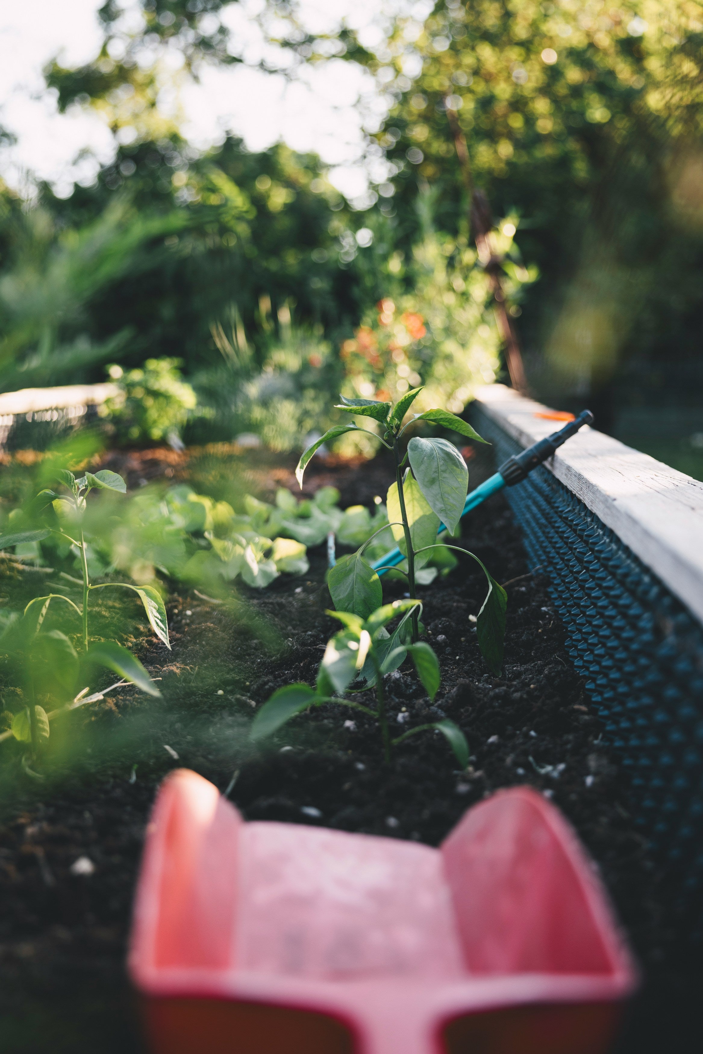 Entdecken Sie die Welt des Urban Gardening: Hochbeet DIY für Stadtbewohner