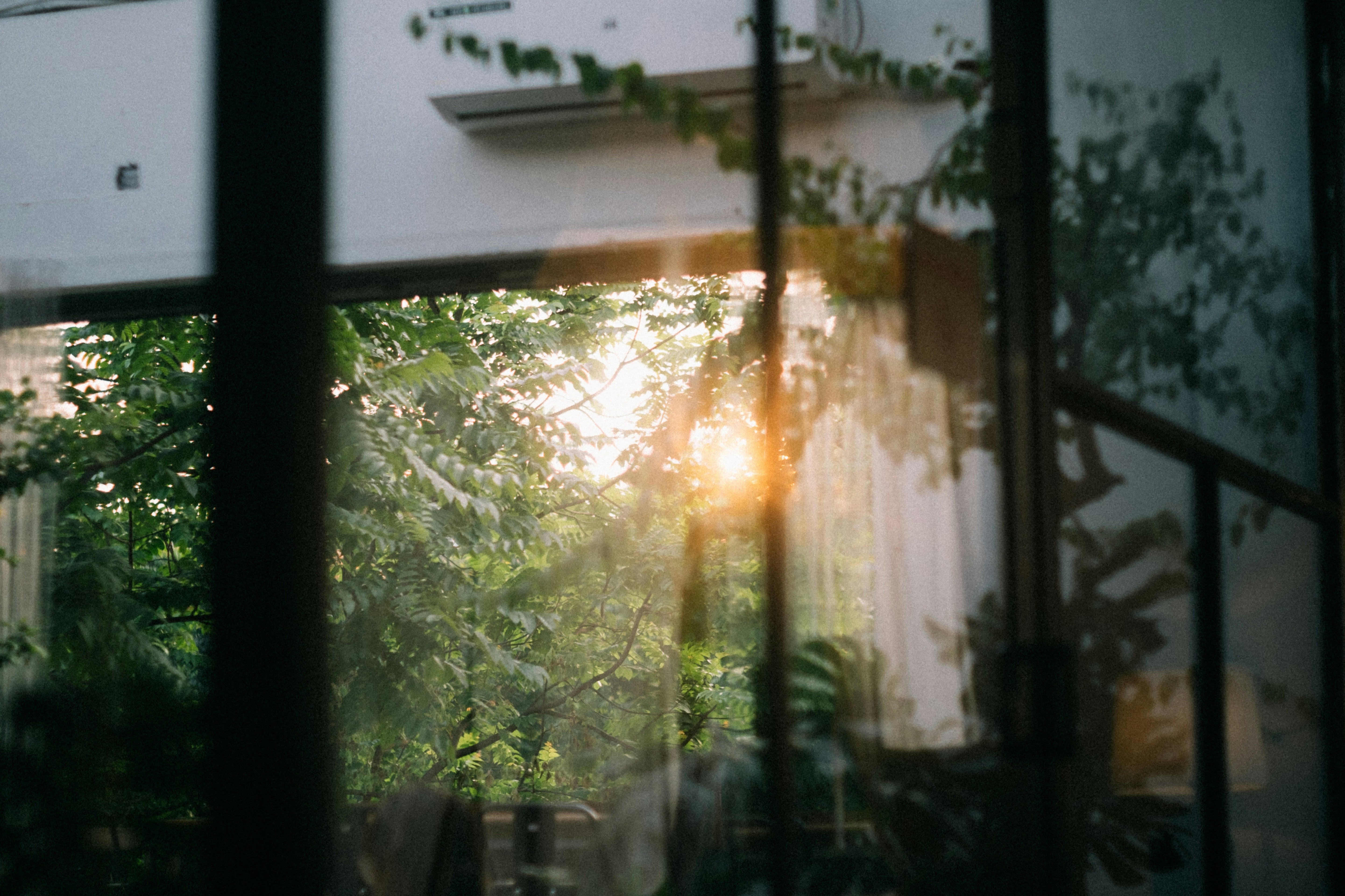 Fensterfolien im Fokus: Ihre Vorteile für modernes Wohnen in der Stadt