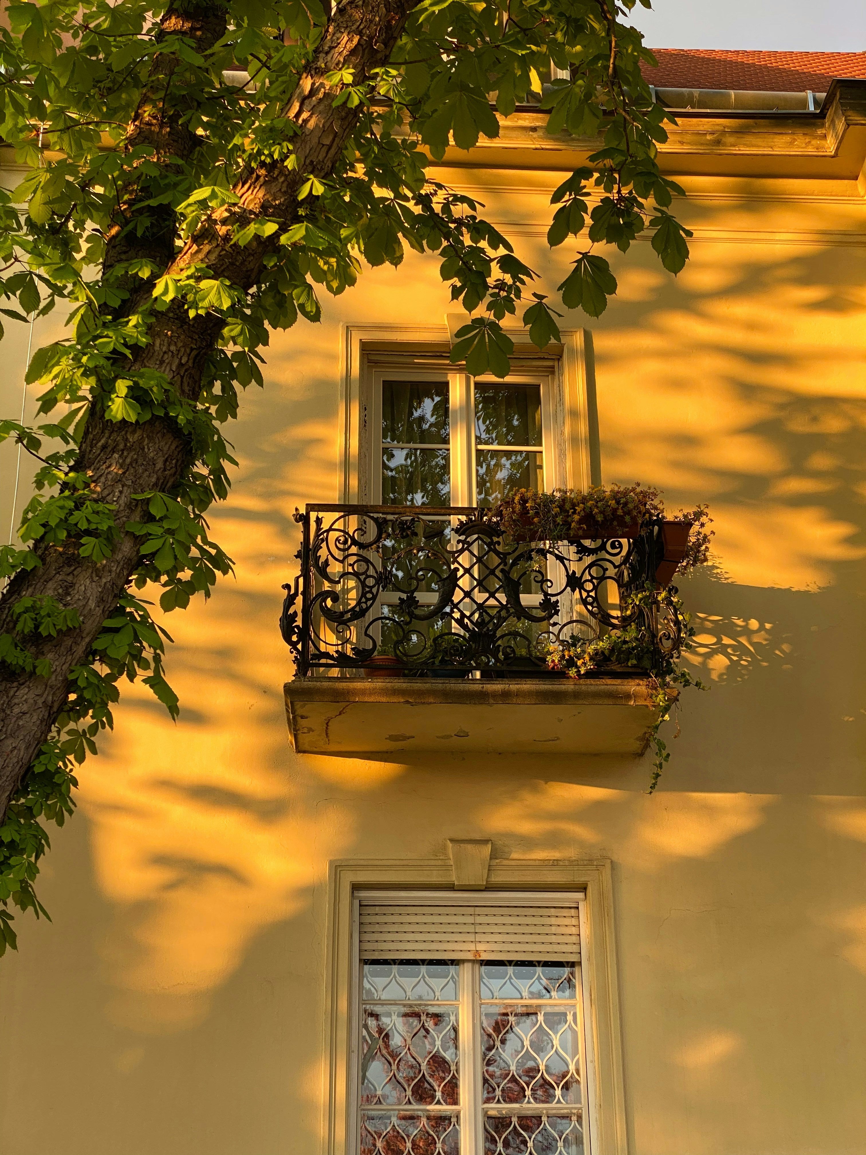 Gemütlichkeit unter dem Dach: Effiziente Fenstergestaltung für Ihre Wohlfühloase
