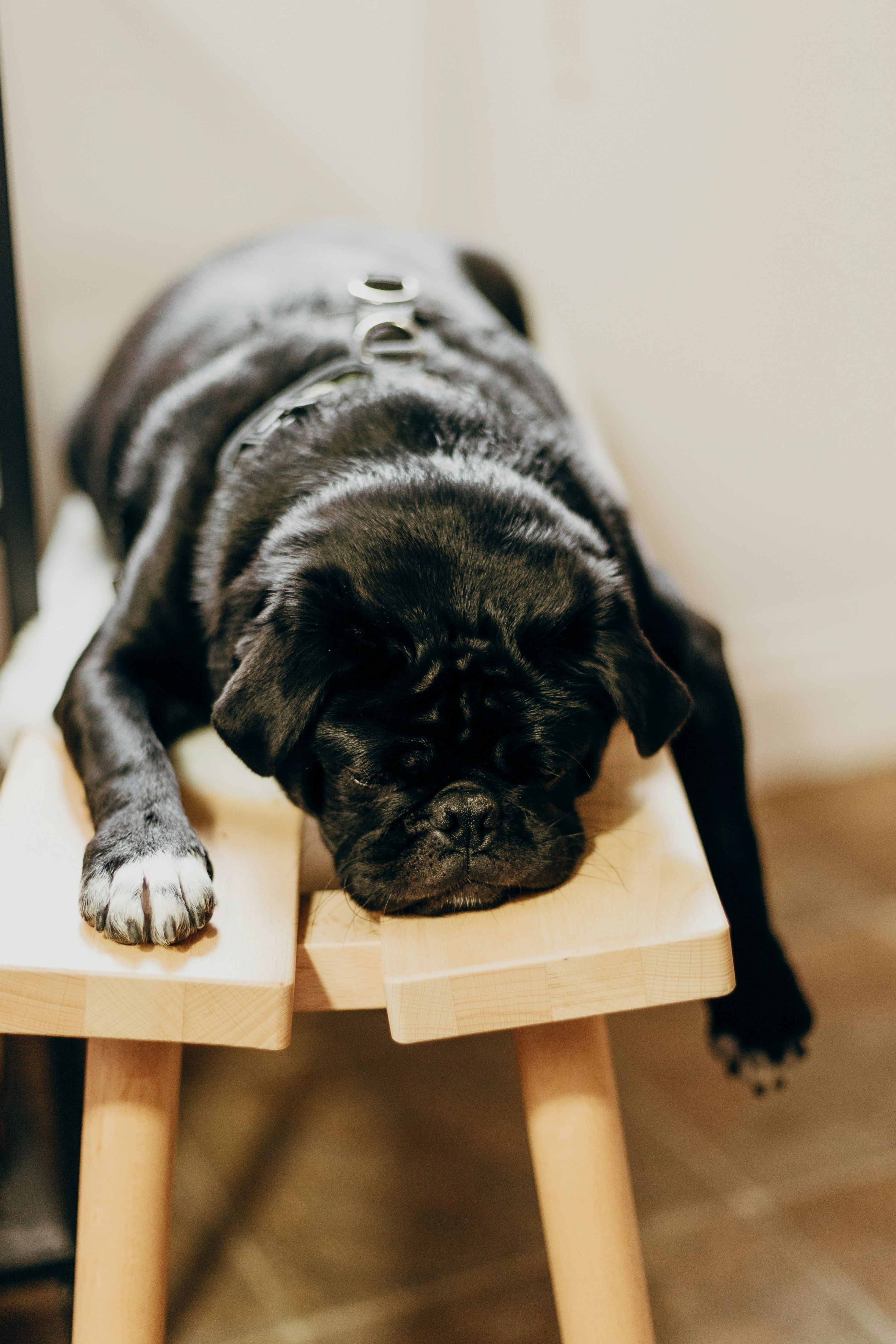 Klare Grenzen setzen: Ihre Anleitung für eine gesunde Work Life (Sleep) Balance im Homeoffice